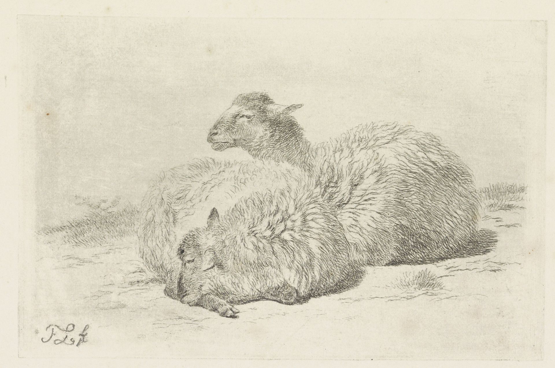 Twee liggende schapen by Frans Lebret