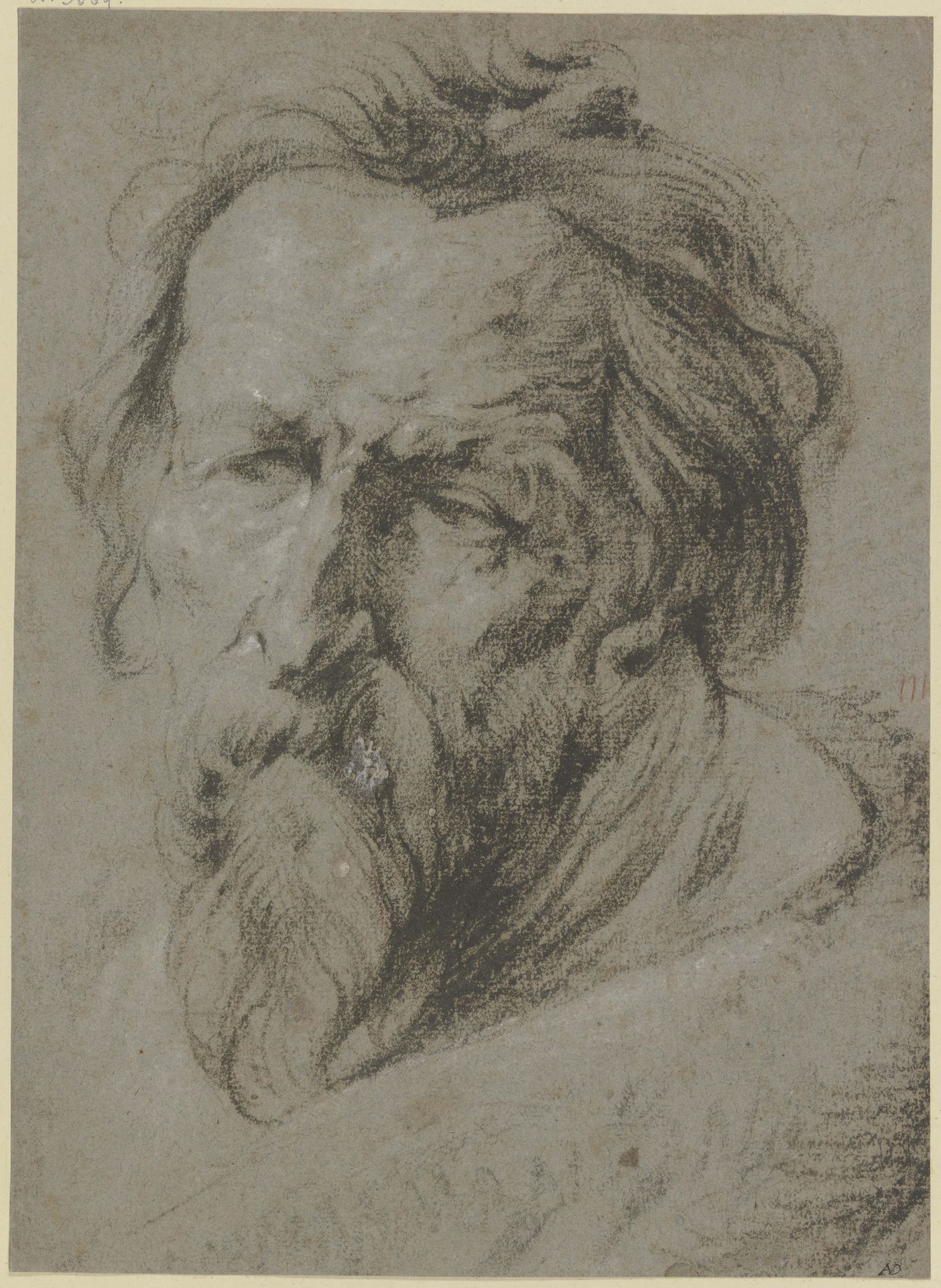 Kopf eines bärtigen Alten nach links by Anthony van Dyck
