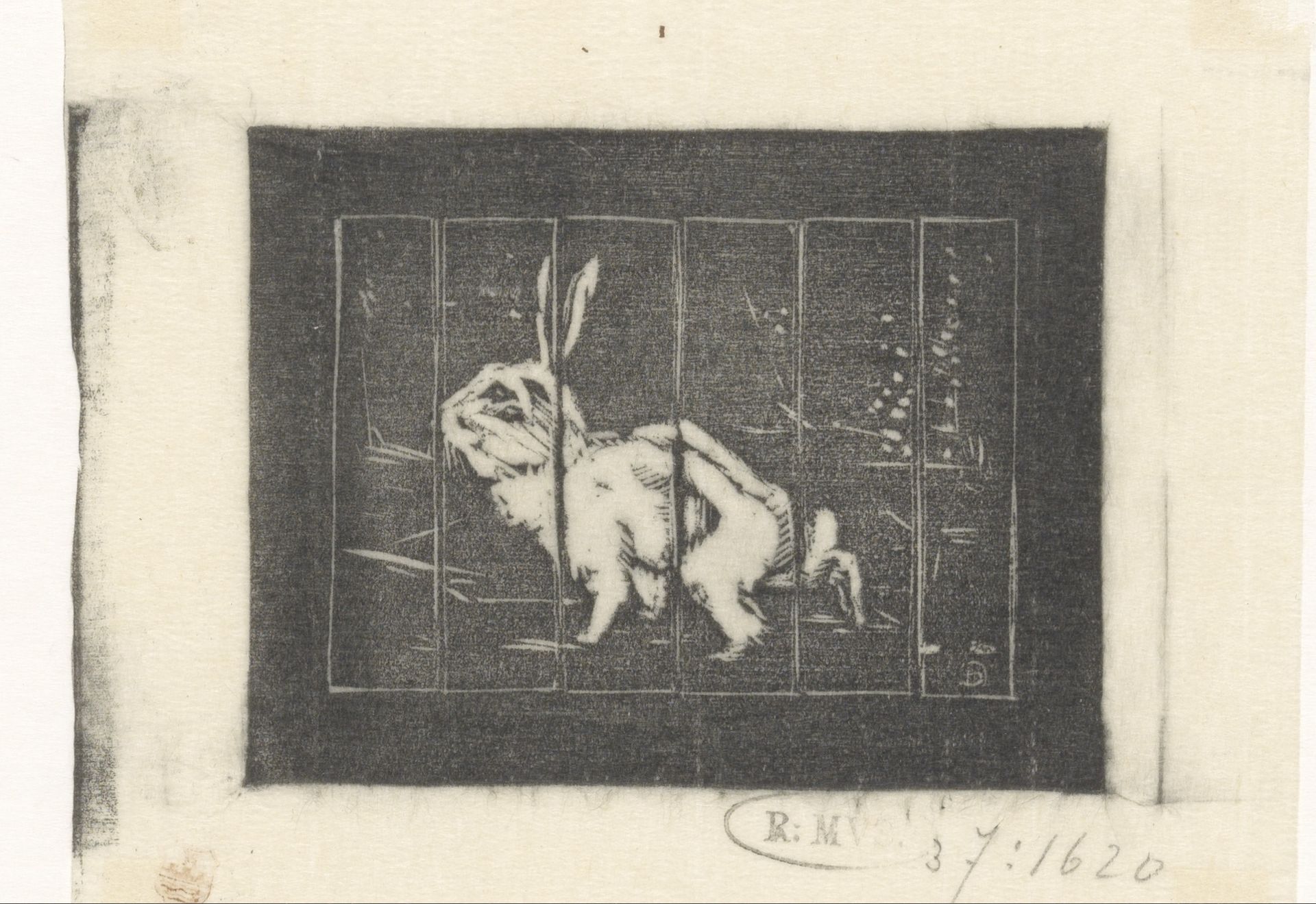 Konijn achter tralies by Jacoba T.A. Catharina Hoijer