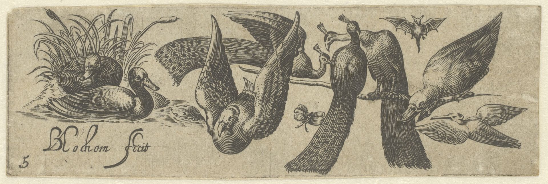 ['Eight birds', 'Friezes with birds'] by Bartholomeus van Lochom