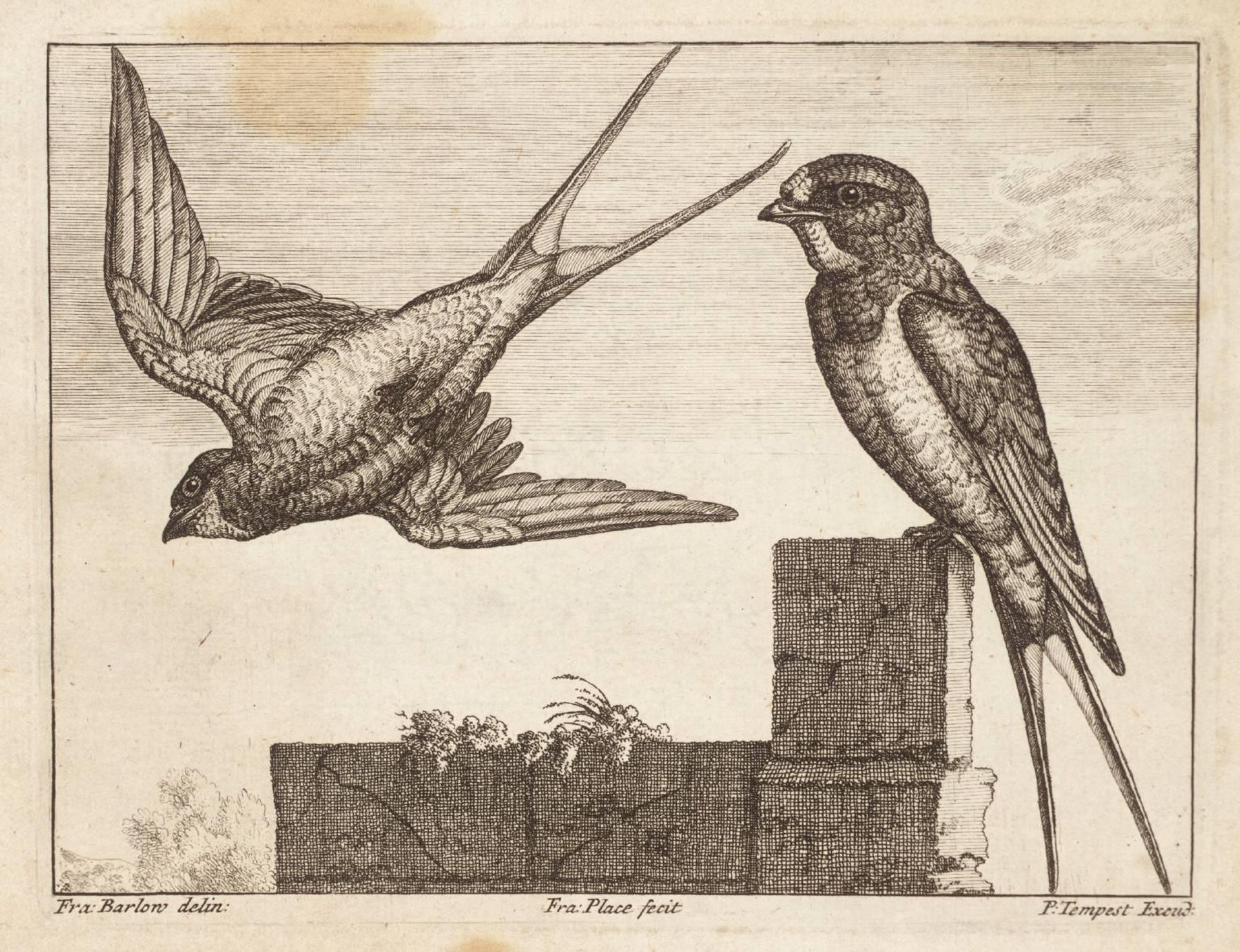 [title not known] by Francis Barlow