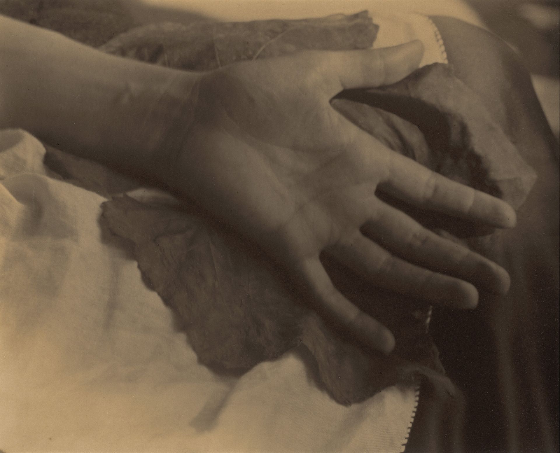 Georgia O'Keeffe—Hand and Grape Leaf by Alfred Stieglitz