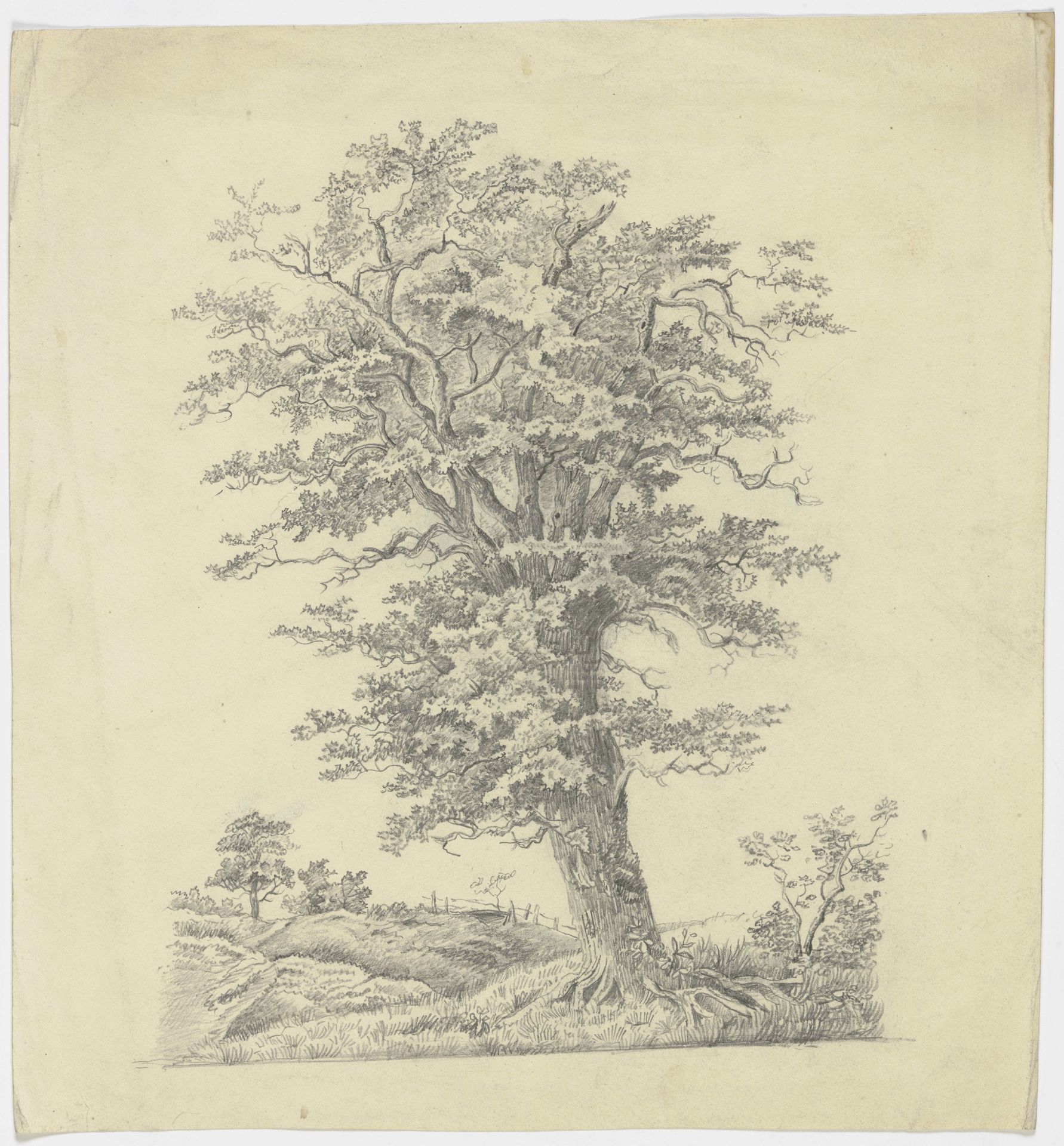 Tree on a meadow by Victor Müller