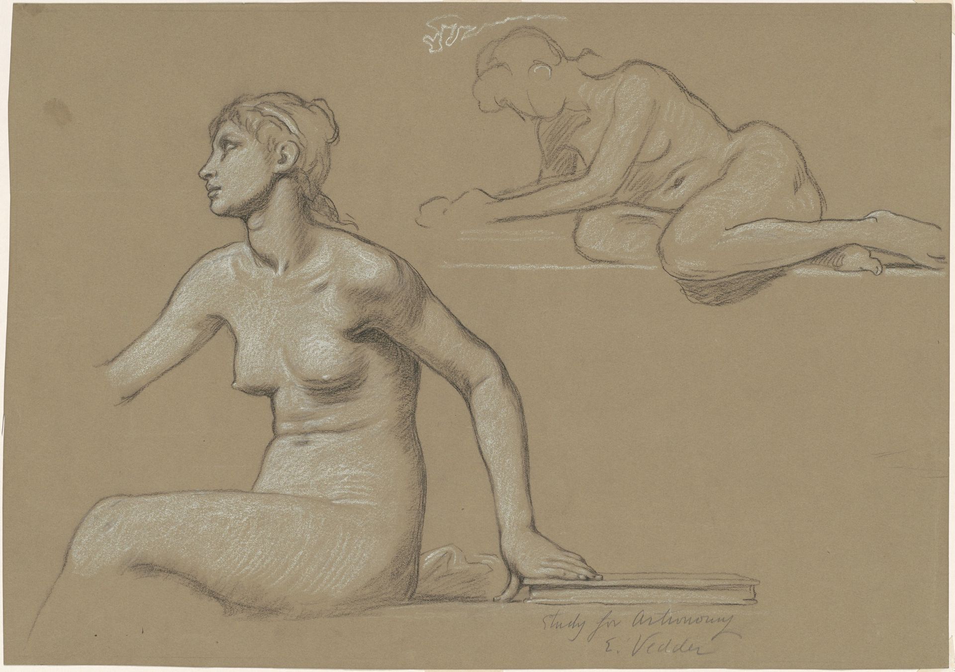 Study for "Astronomy" by Elihu Vedder
