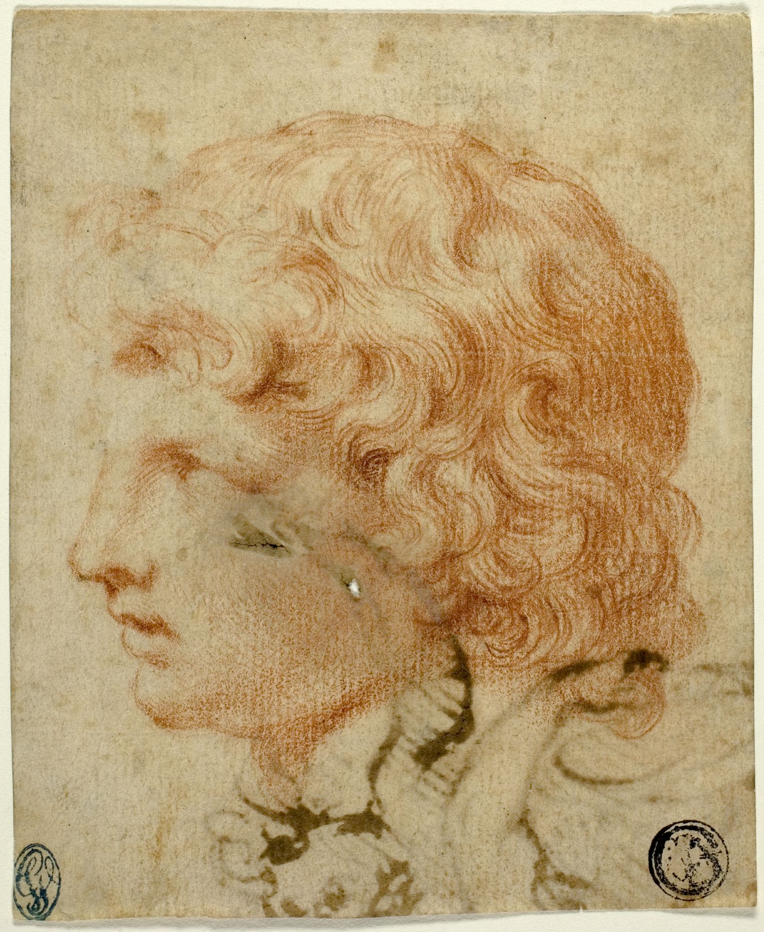 Head of Youth in Profile to Left (recto); Fragment of Figure Sketch (verso) by Anonymous