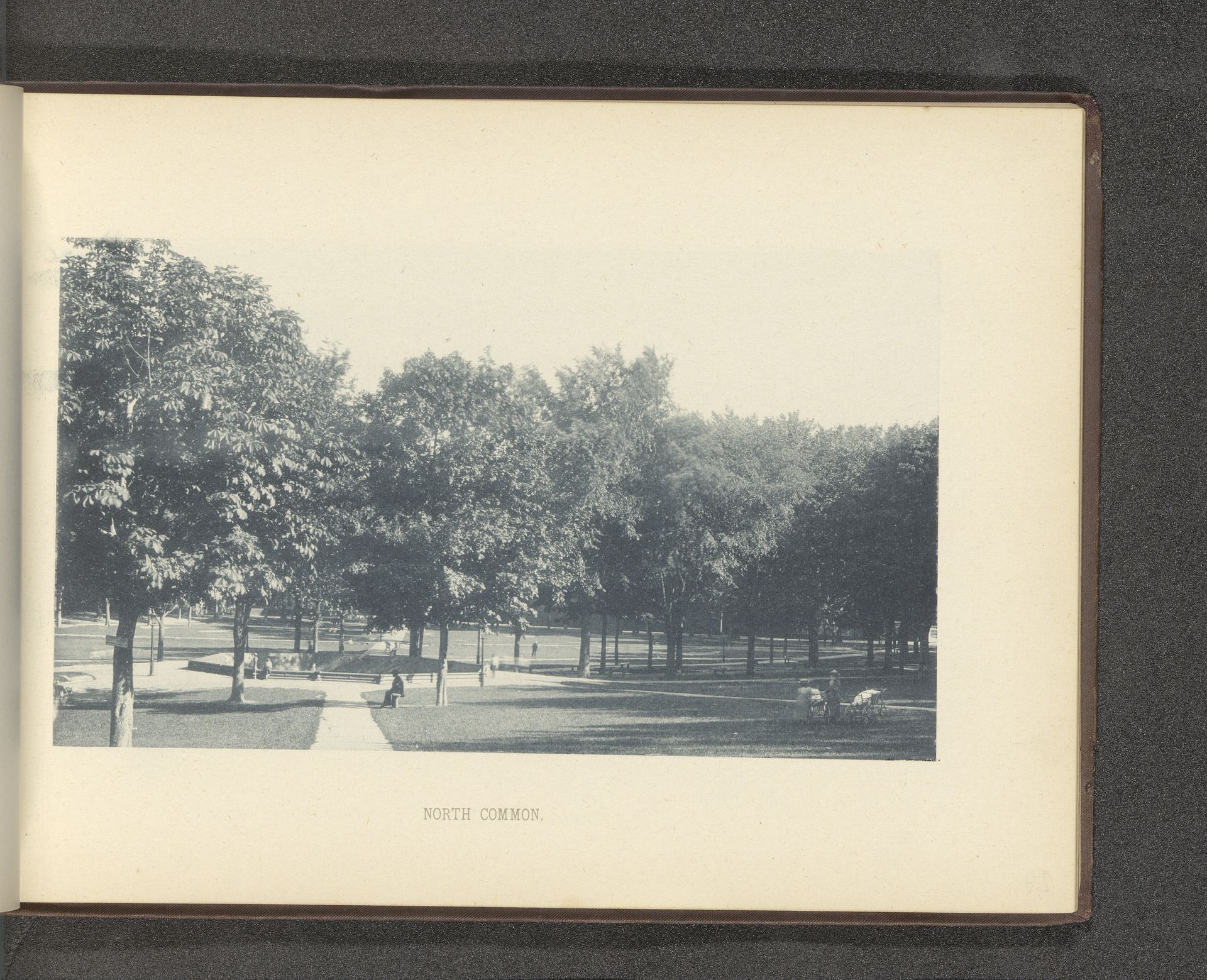 Gezicht op een park te Lowell by Anonymous