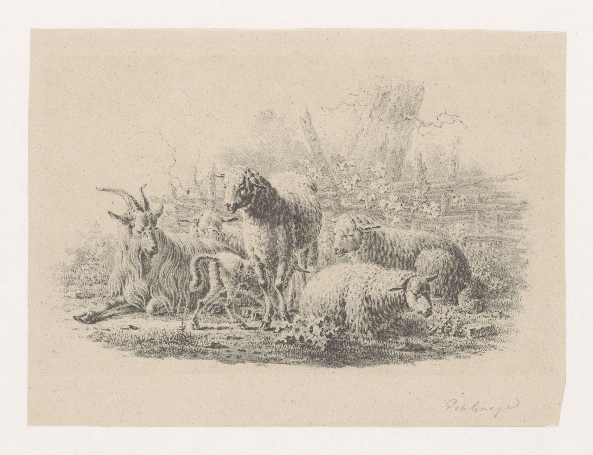 Geitenbok, vijf schapen en een lam by Pieter de Goeje