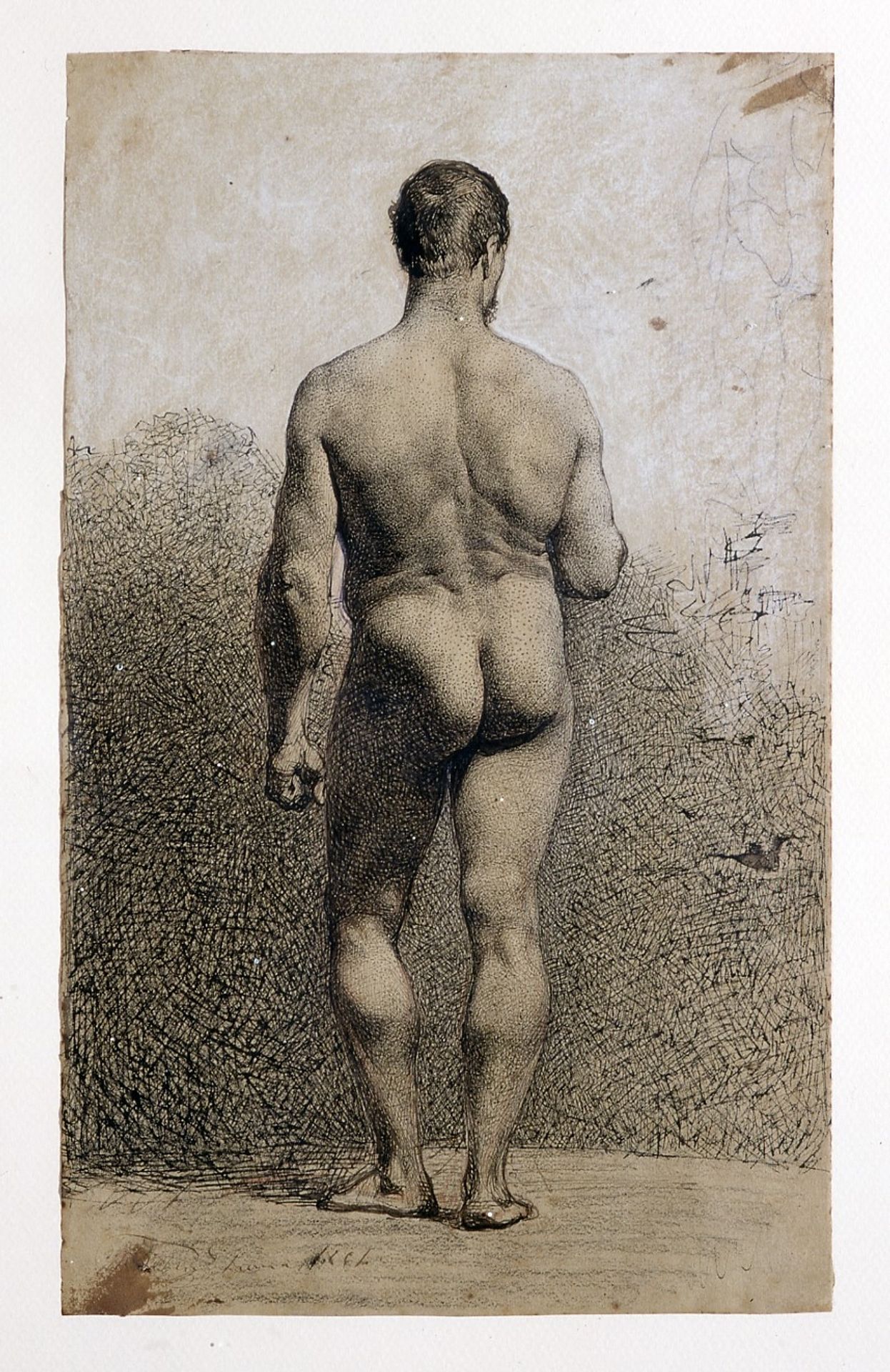 Male nude back by Mariano Fortuny Marsal