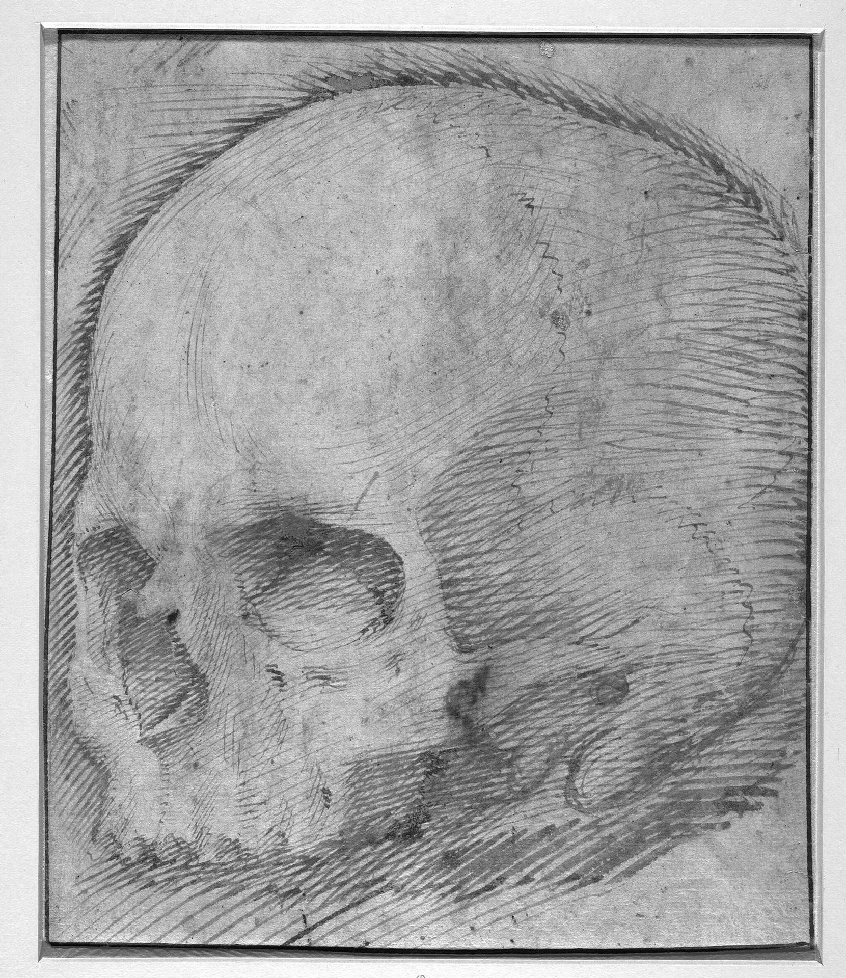 Skull by Giovanni Battista Caracciolo