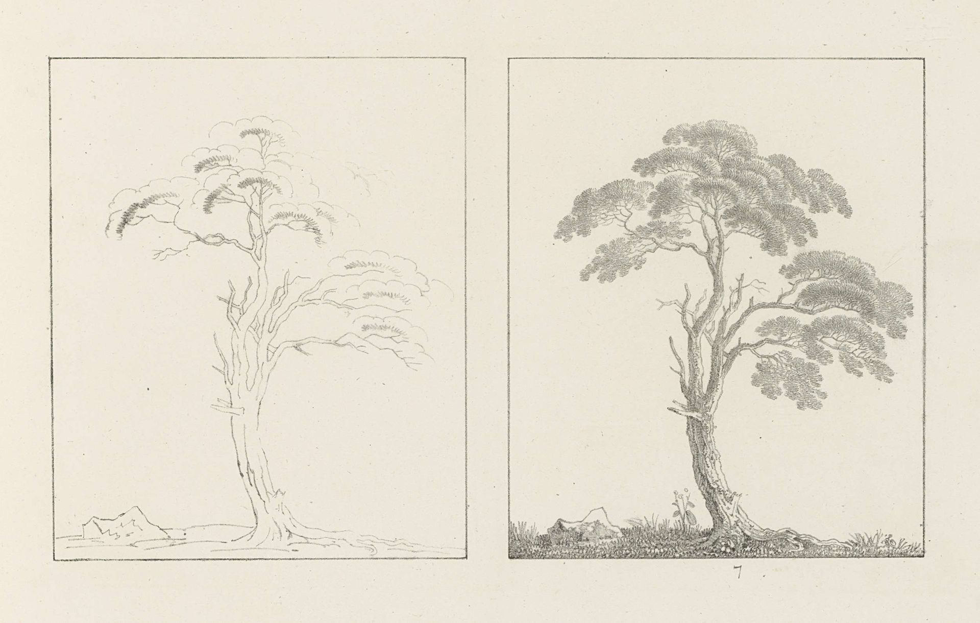 Albumblad met twee voorstellingen van twee bomen: links het ontwerp, rechts de uitvoering by Max Josef Wagenbauer