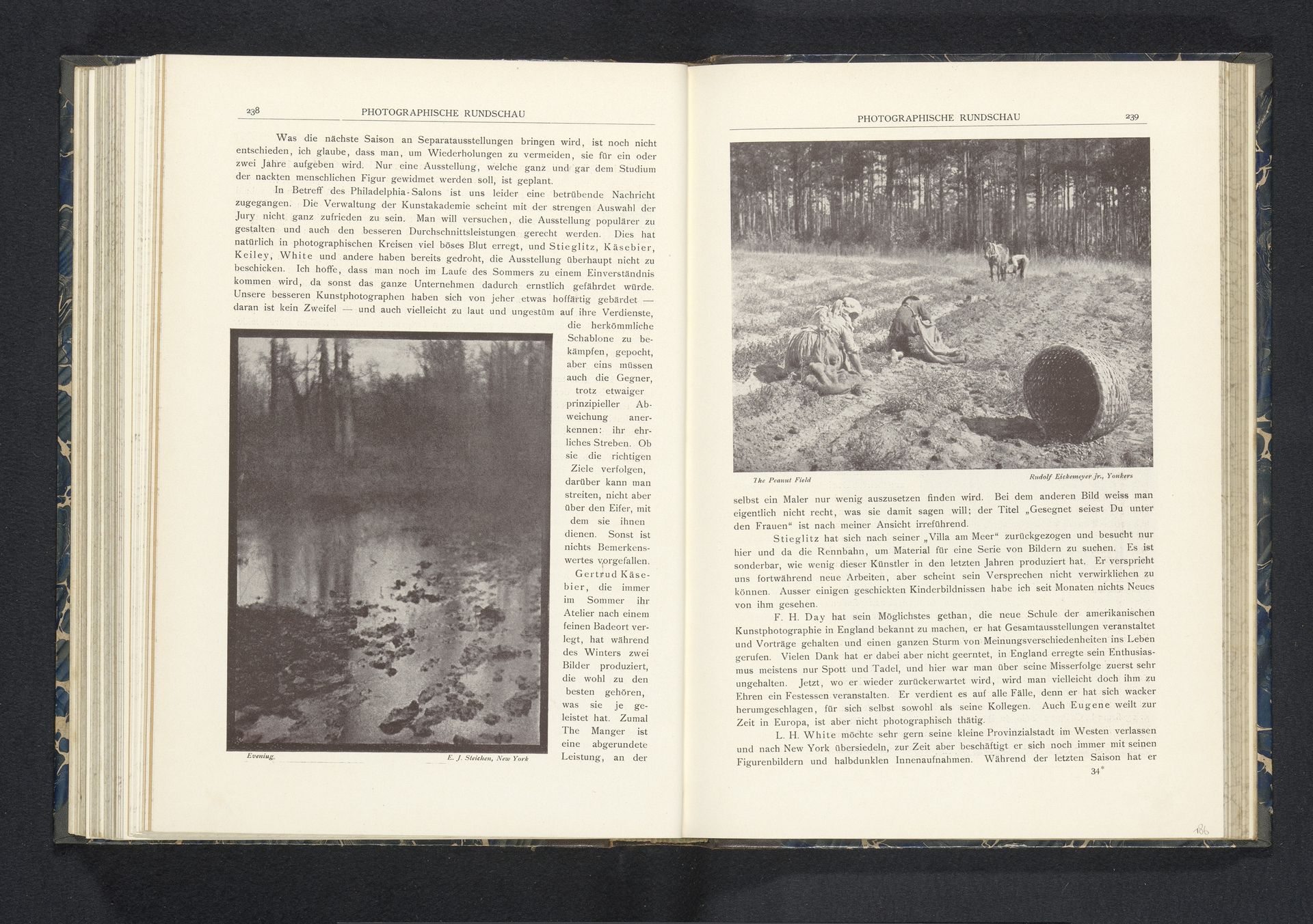 Beekje in een bos by Edward Steichen