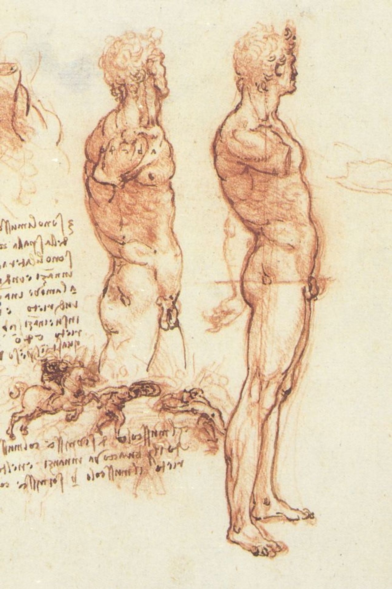 The anatomy of a male nude and a battle scene by Leonardo da Vinci