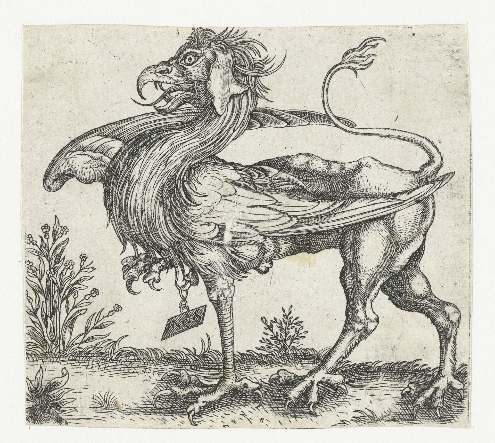 De griffioen by Anonymous