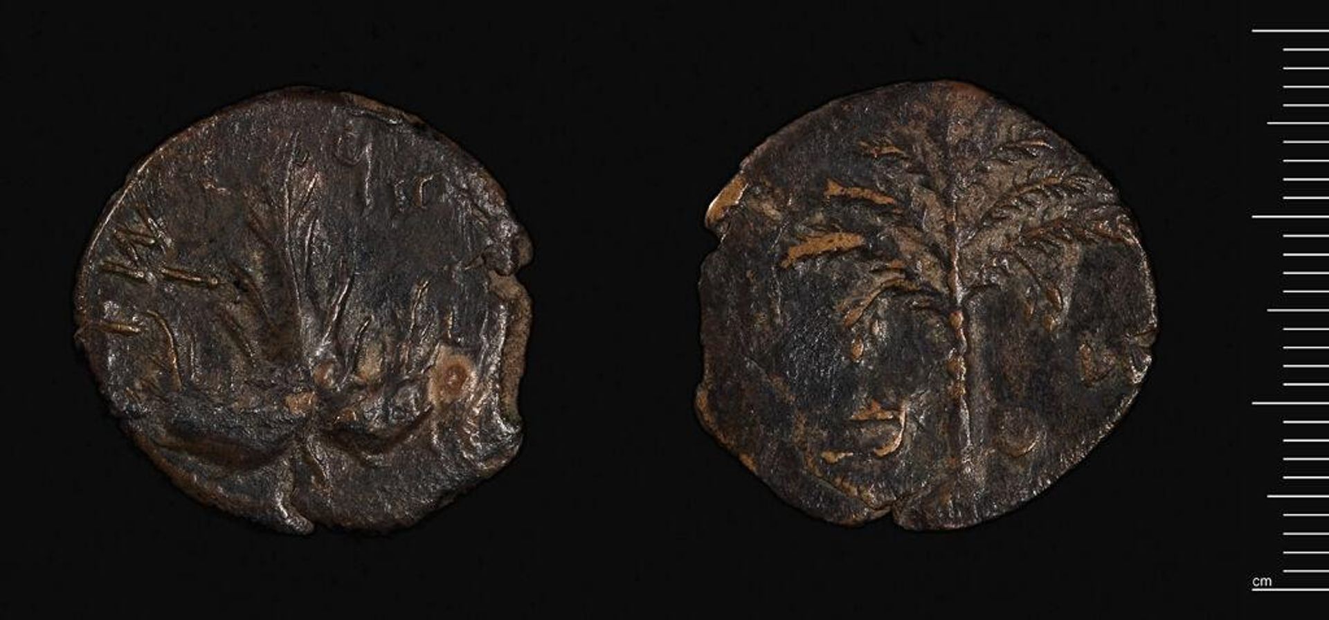 Coin of the Bar Kocba  War by Bar Kochba