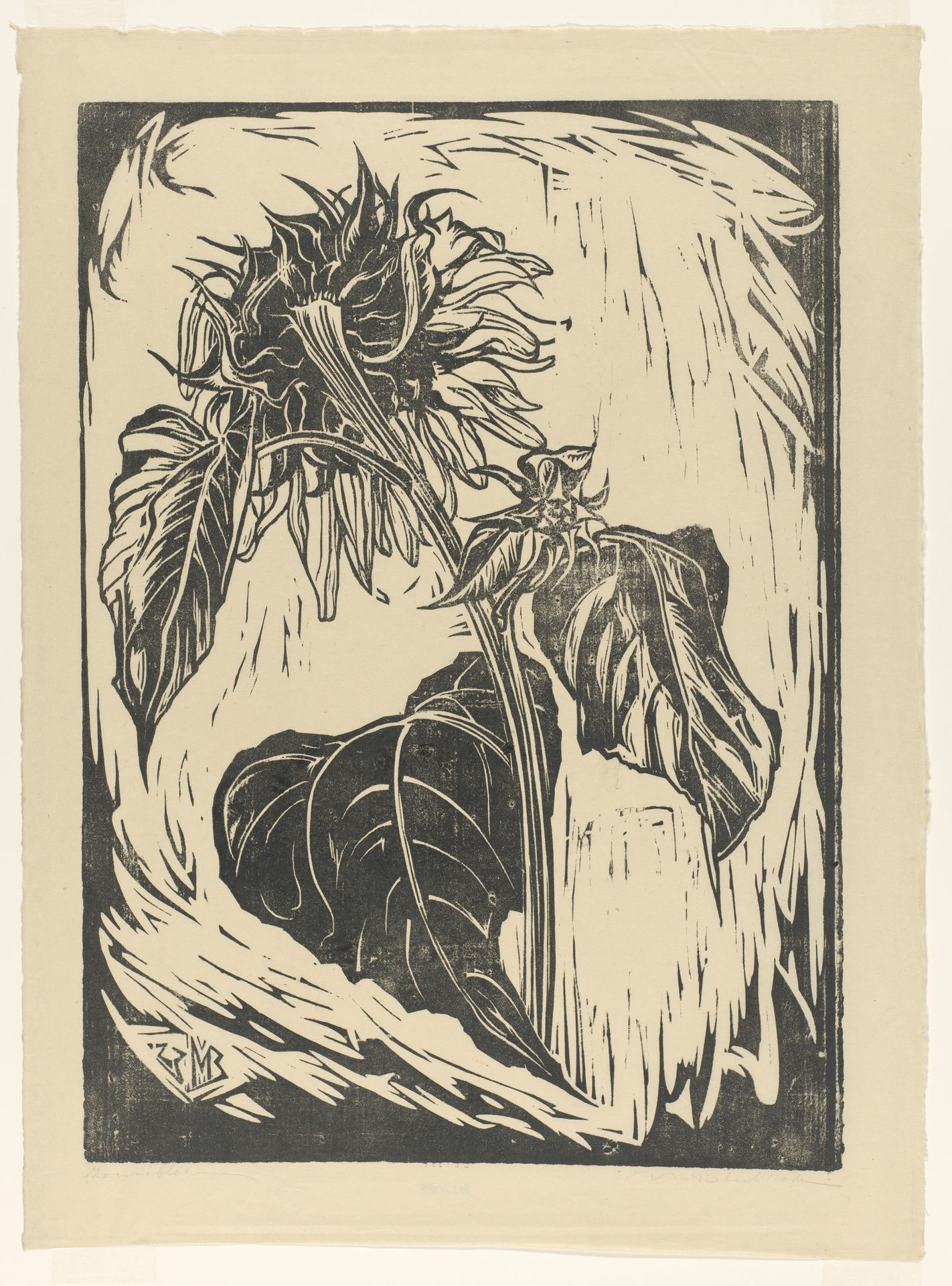 Zonnebloem by Meijer Bleekrode