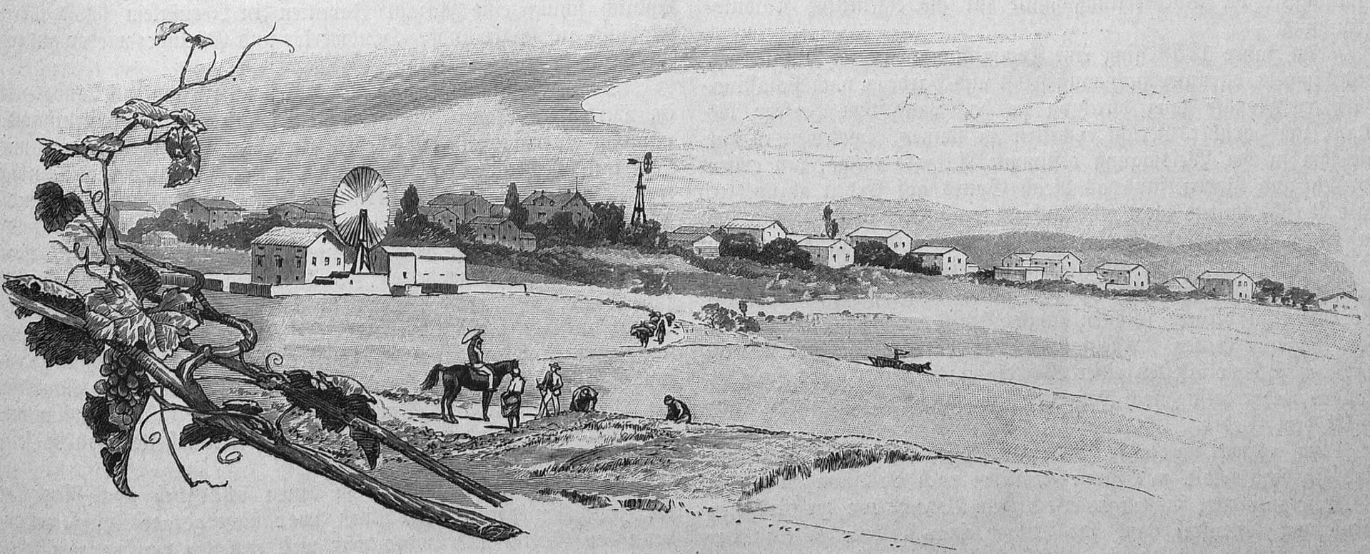 German Colony Sarona near Jaffa by Gustav Bauernfeind