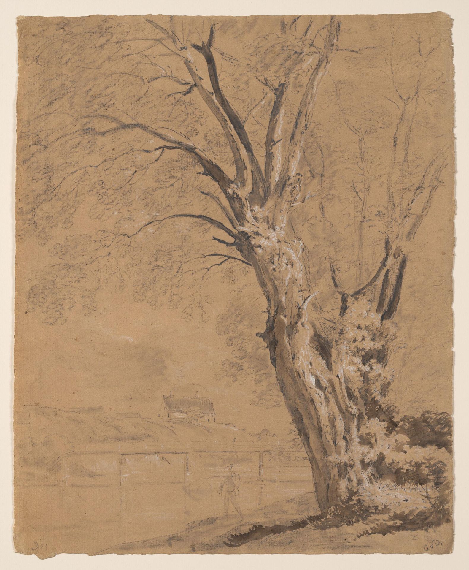 A Willow Tree on the Prater Island in Munich, with the Quellwasser Footbridge and the Hospital on the Opposite Bank of the Isar River by Johann Georg von Dillis