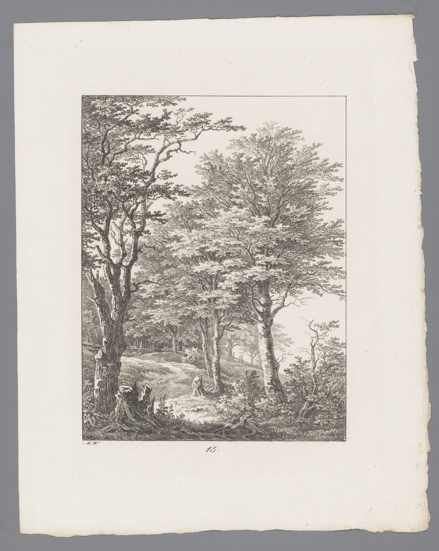 Bosrand met een hek by Max Josef Wagenbauer