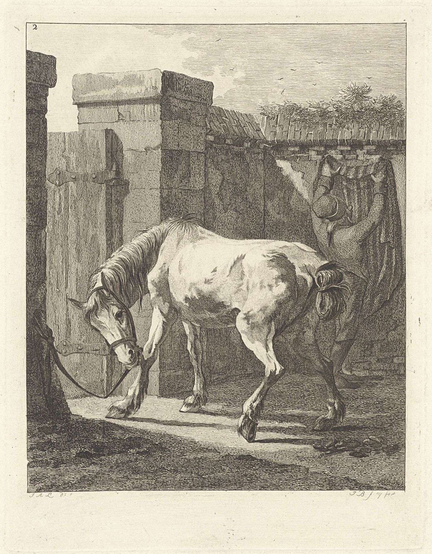 Ongezadeld paard met de toom aan een paal vastgemaakt by Joannes Bemme