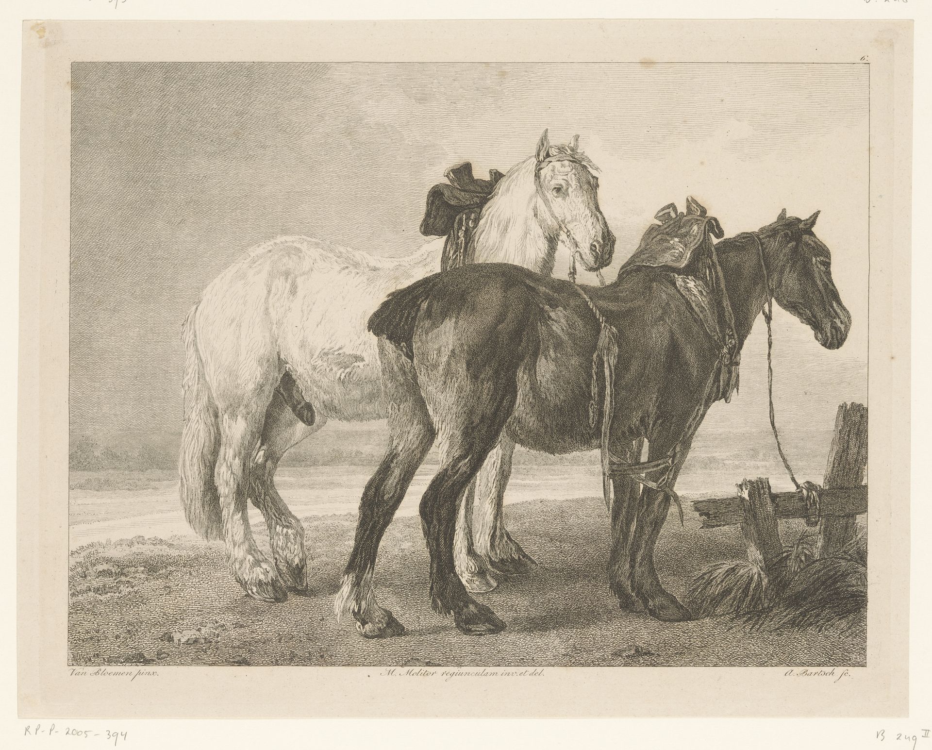 Twee paarden in rivierlandschap by Adam von Bartsch