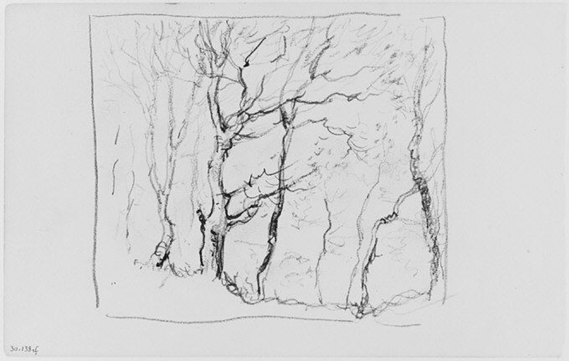 Trees (from Sketchbook) by Henry Ward Ranger