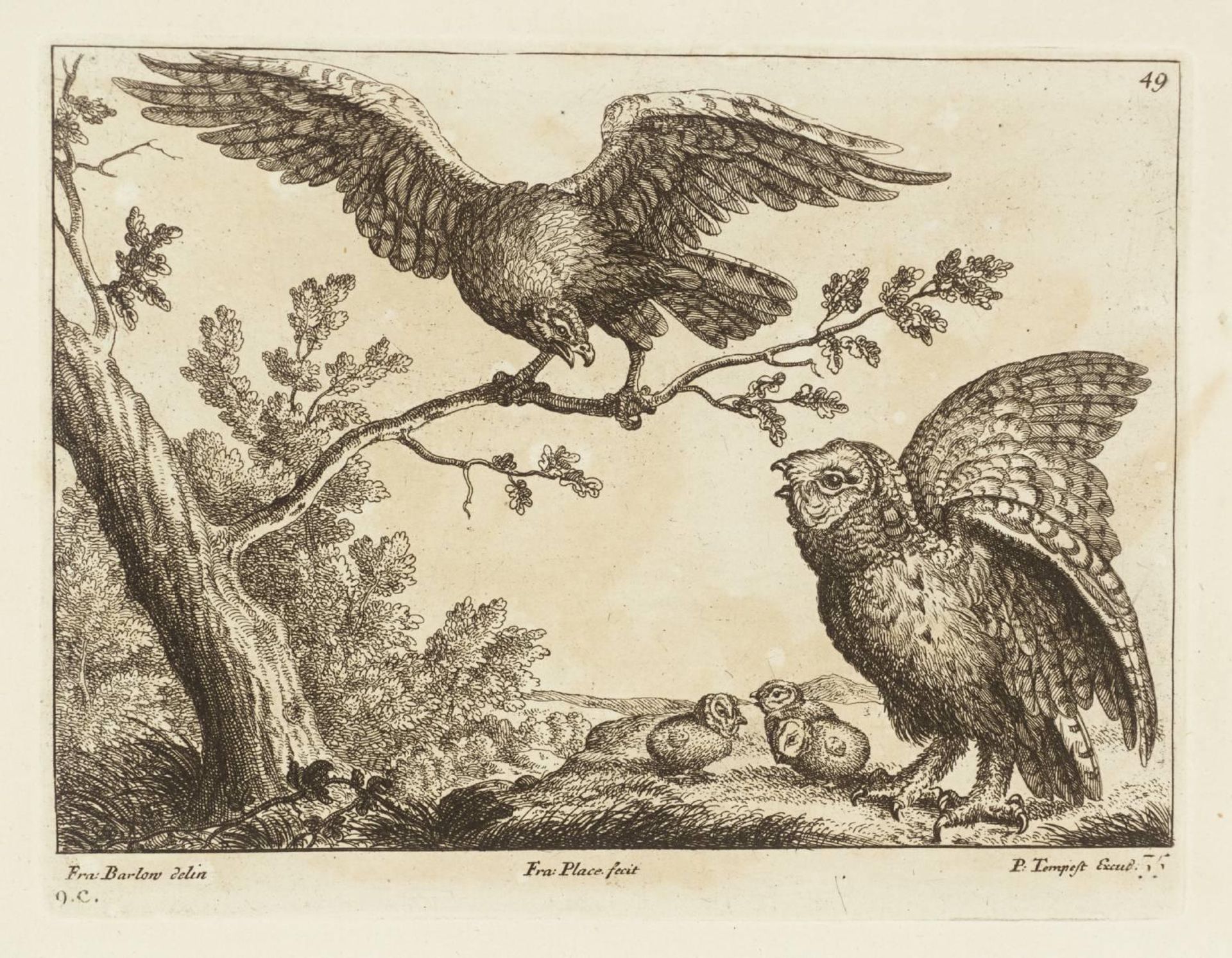 [title not known] by Francis Barlow
