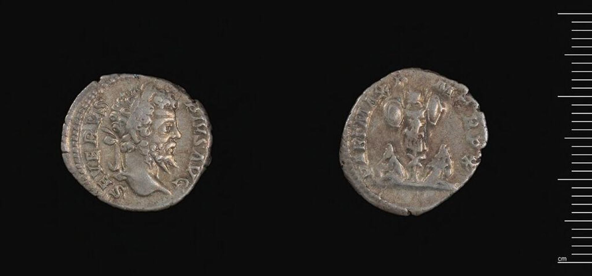 Denarius of Septimius Severus by Septimius Severus