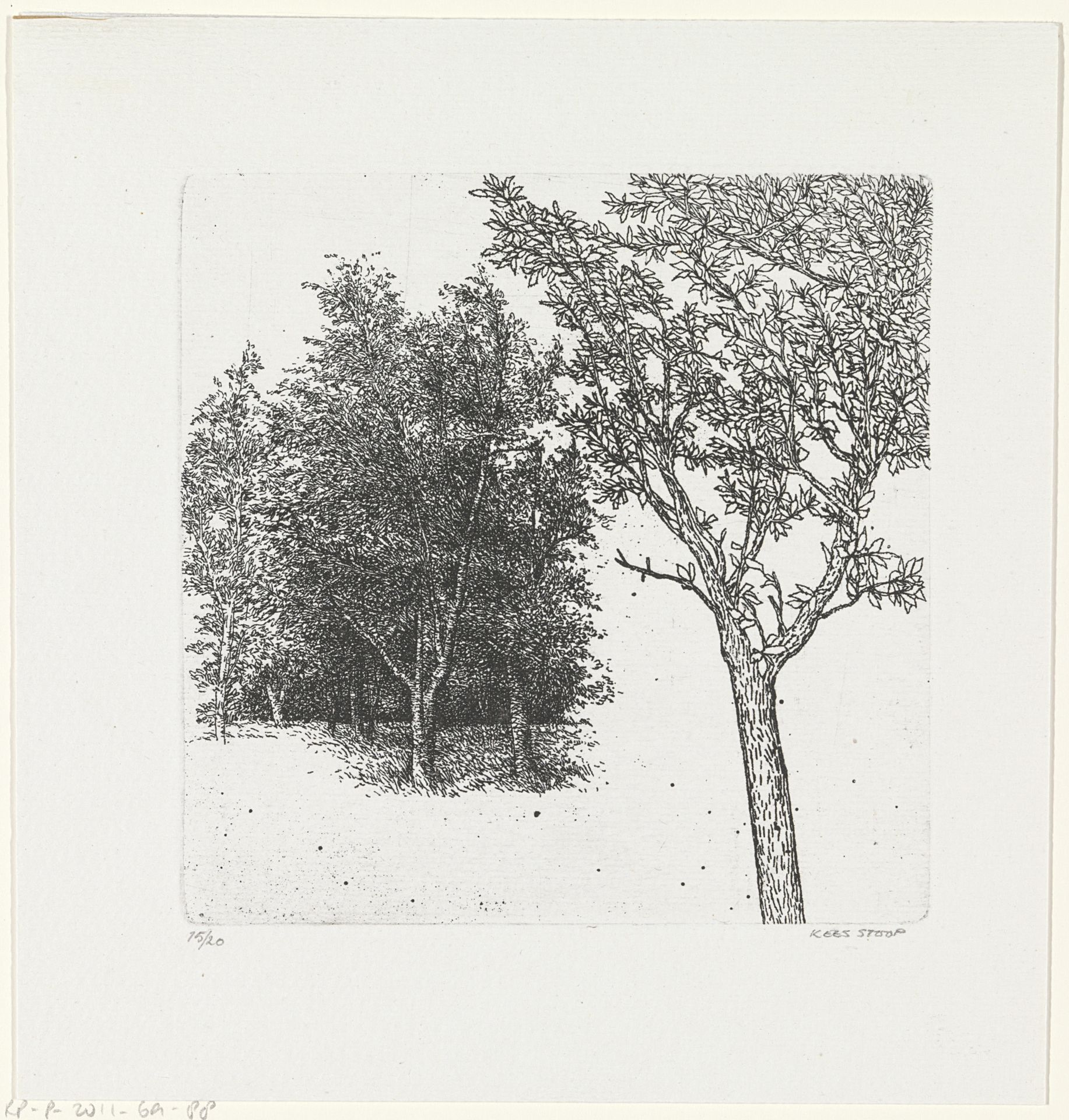 Bomen by Kees Stoop