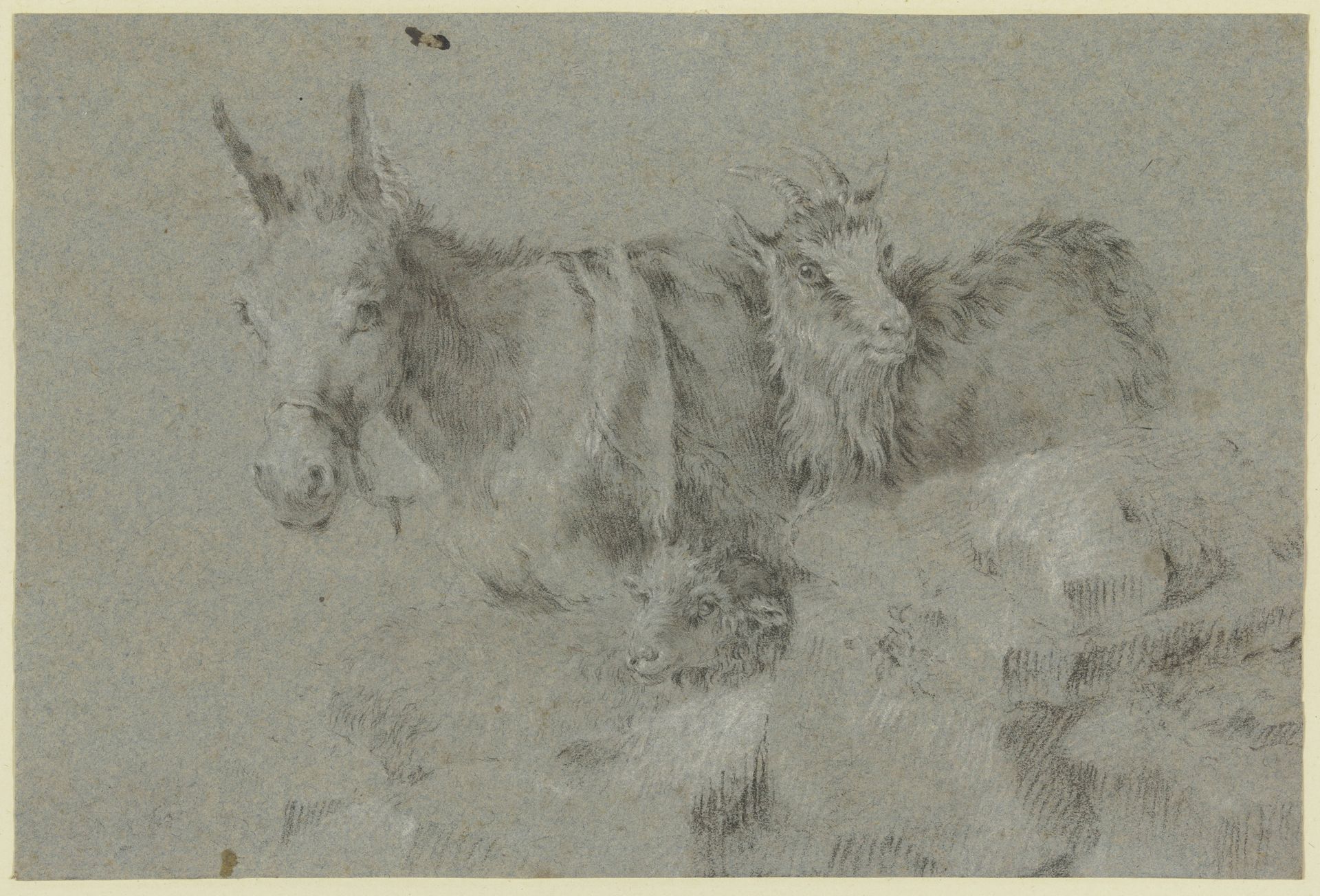 Ein Esel, ein Schaf und eine Ziege nach links by Francesco Londonio