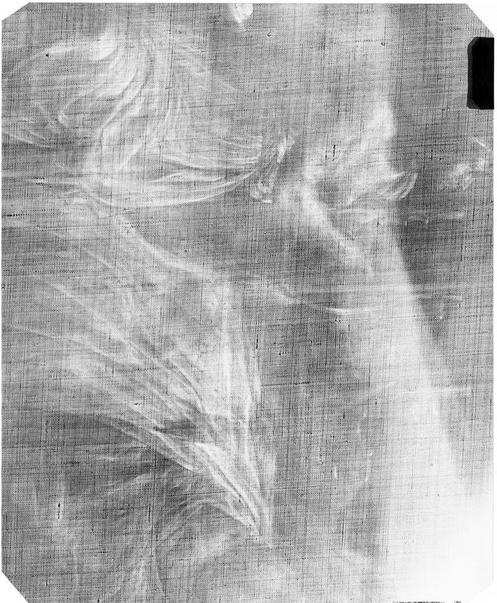 X-radiograph(s) of "Homer and Calliope" by Artist of original: Jacques-Louis David