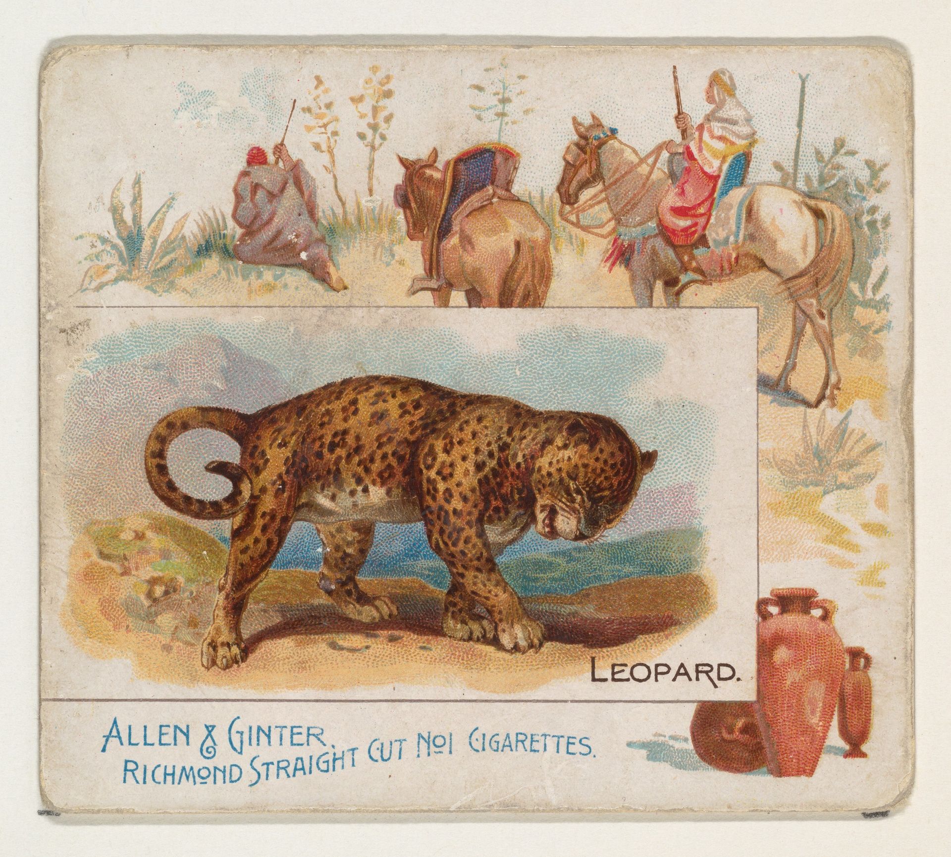 Leopard, from Quadrupeds series (N41) for Allen & Ginter Cigarettes by Allen & Ginter