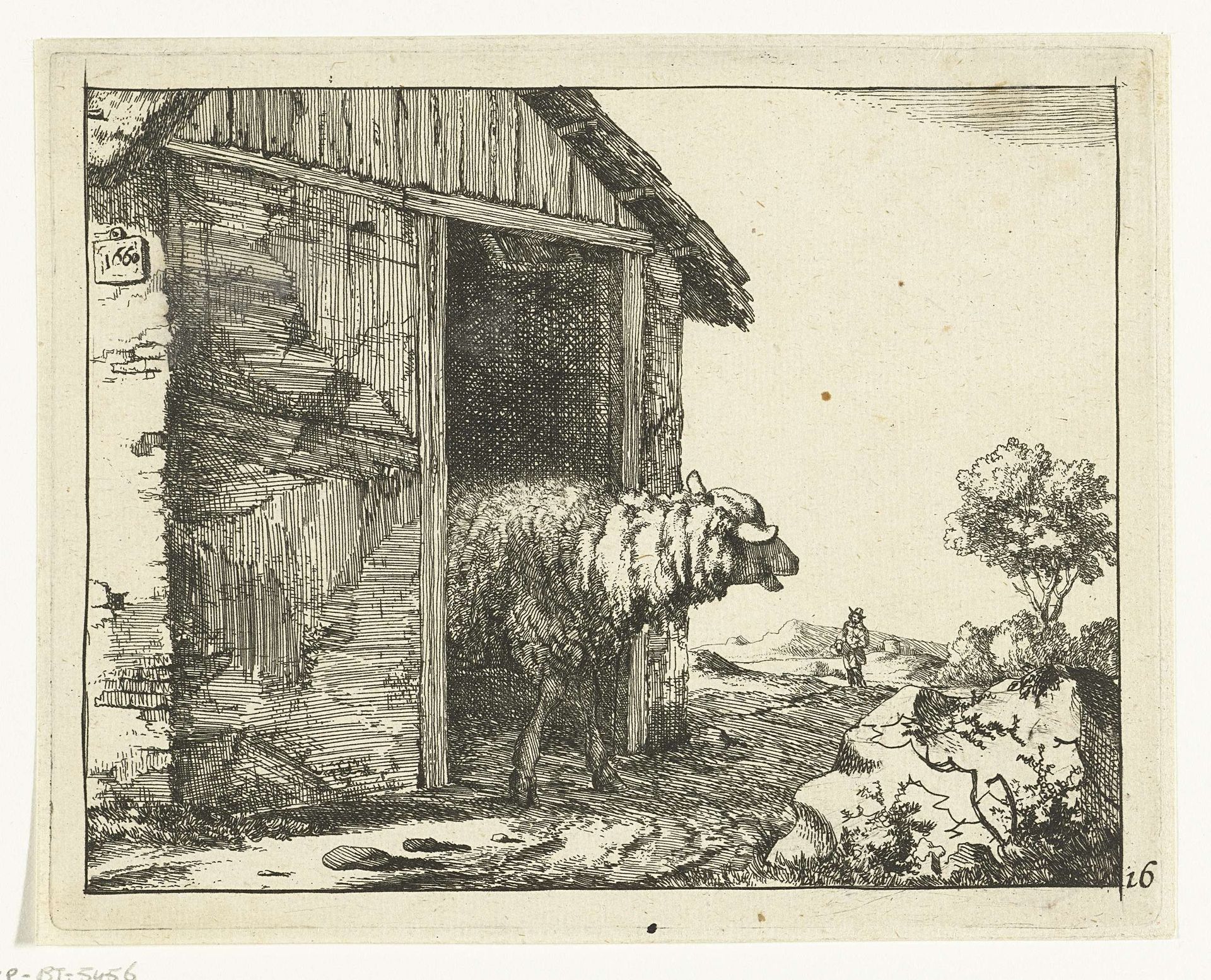 Schaap bij schaapskooi by Marcus de Bye