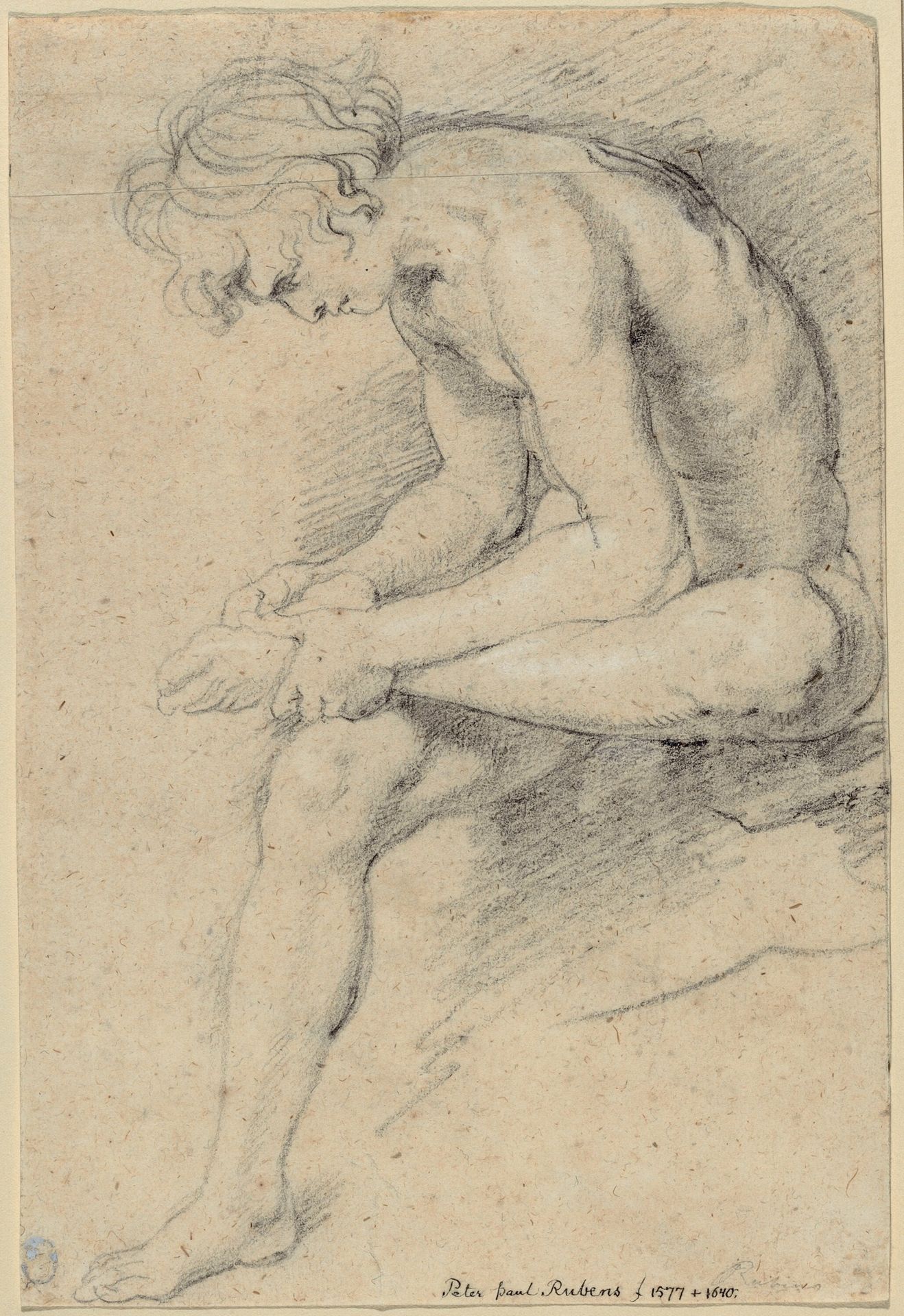 Nude Youth in the Pose of the Spinario by Peter Paul Rubens