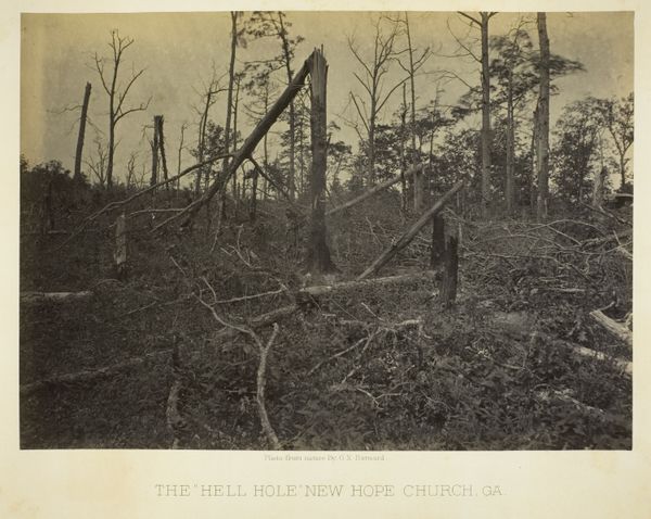 Slide 8