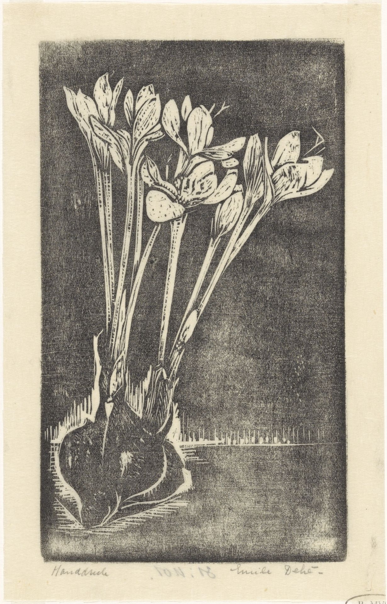 Herfsttijloos by Emilius Wilhelmus Dehé