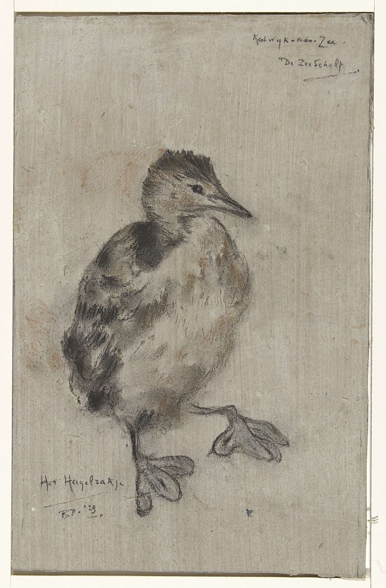 Jonge vogel by Frederika Henriëtte Broeksmit