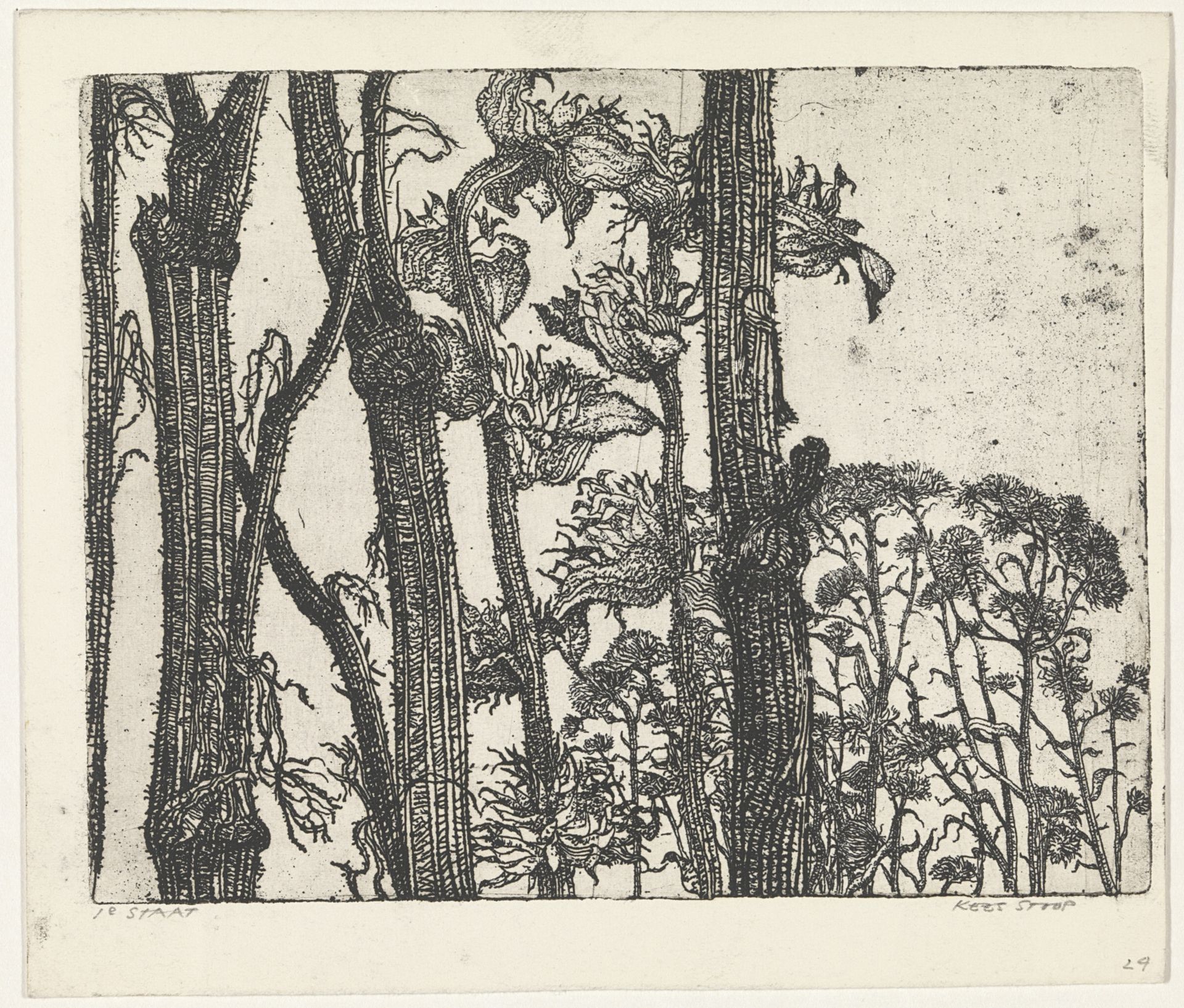 Bloemstengels by Kees Stoop
