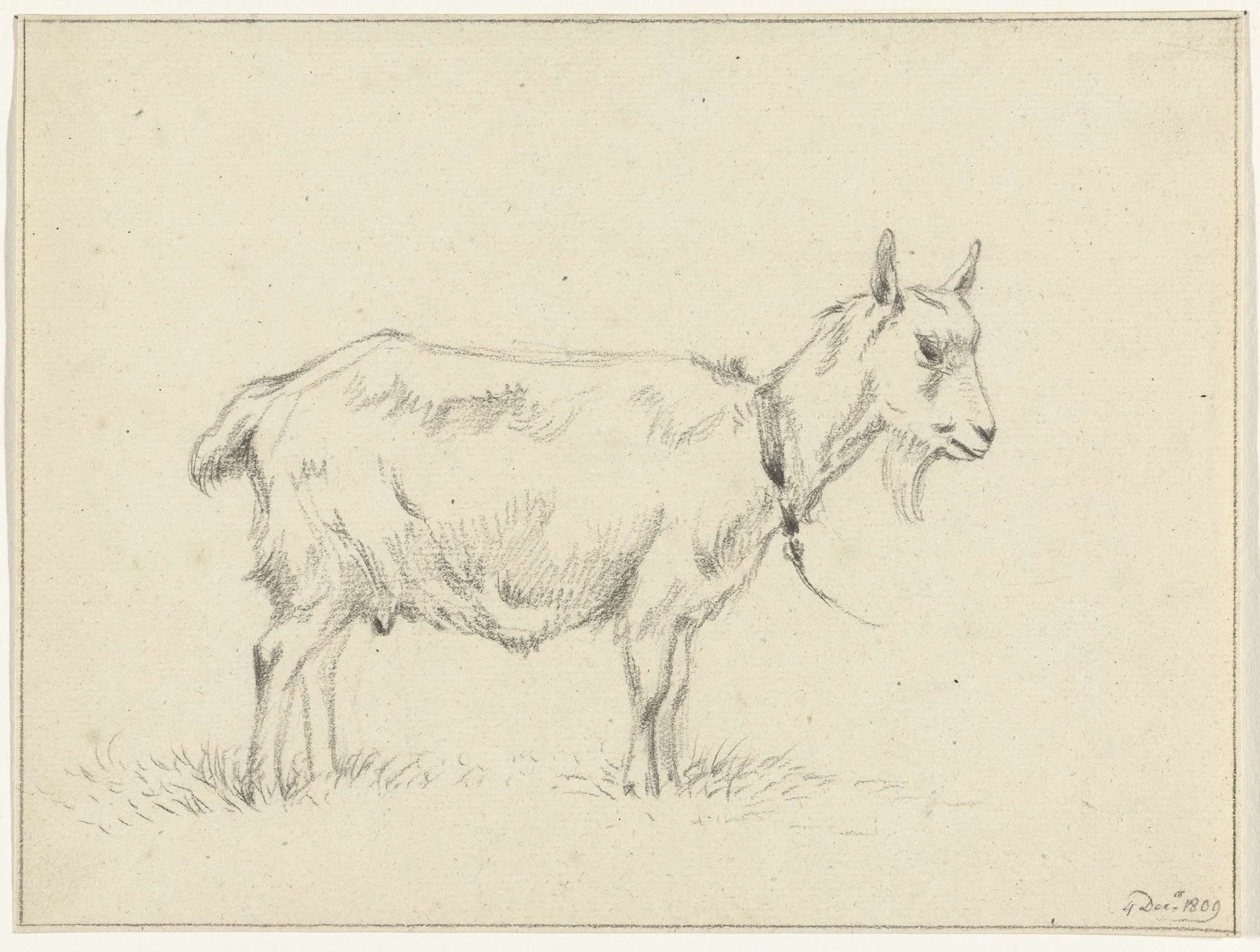 Staande geit, naar rechts by Jean Bernard