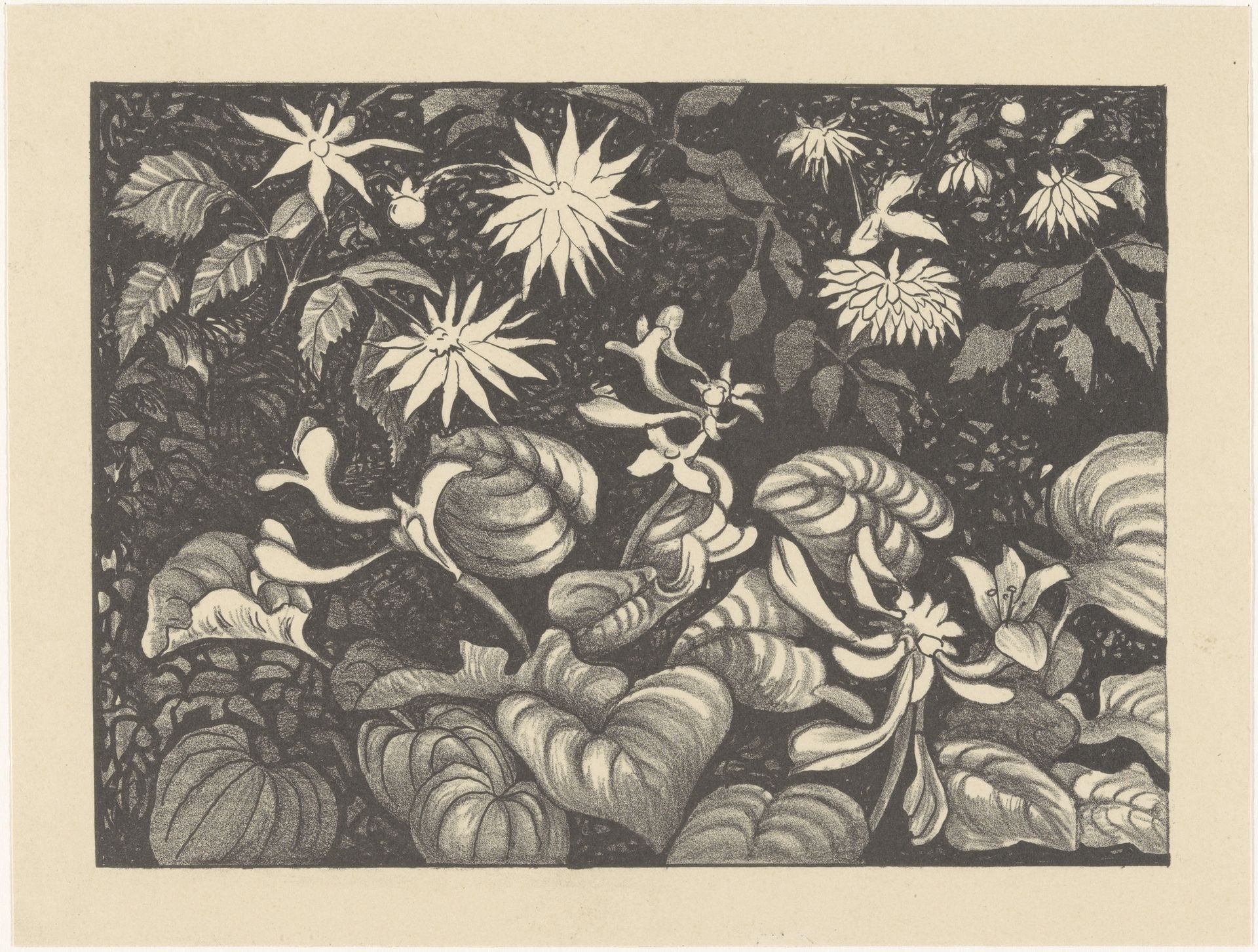 Wilde planten en bloemen by Theo van Hoytema