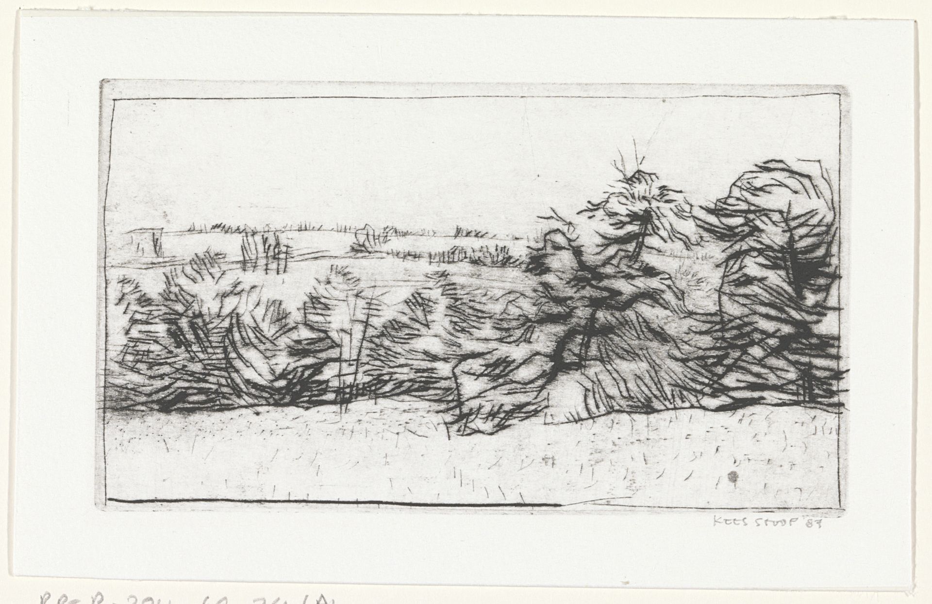 Naaldbomen by Kees Stoop