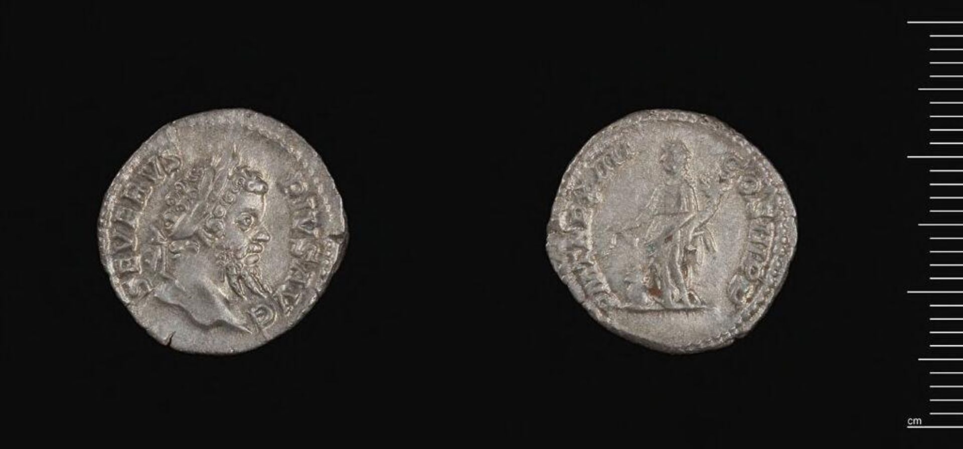 Denarius of Septimius Severus by Septimius Severus