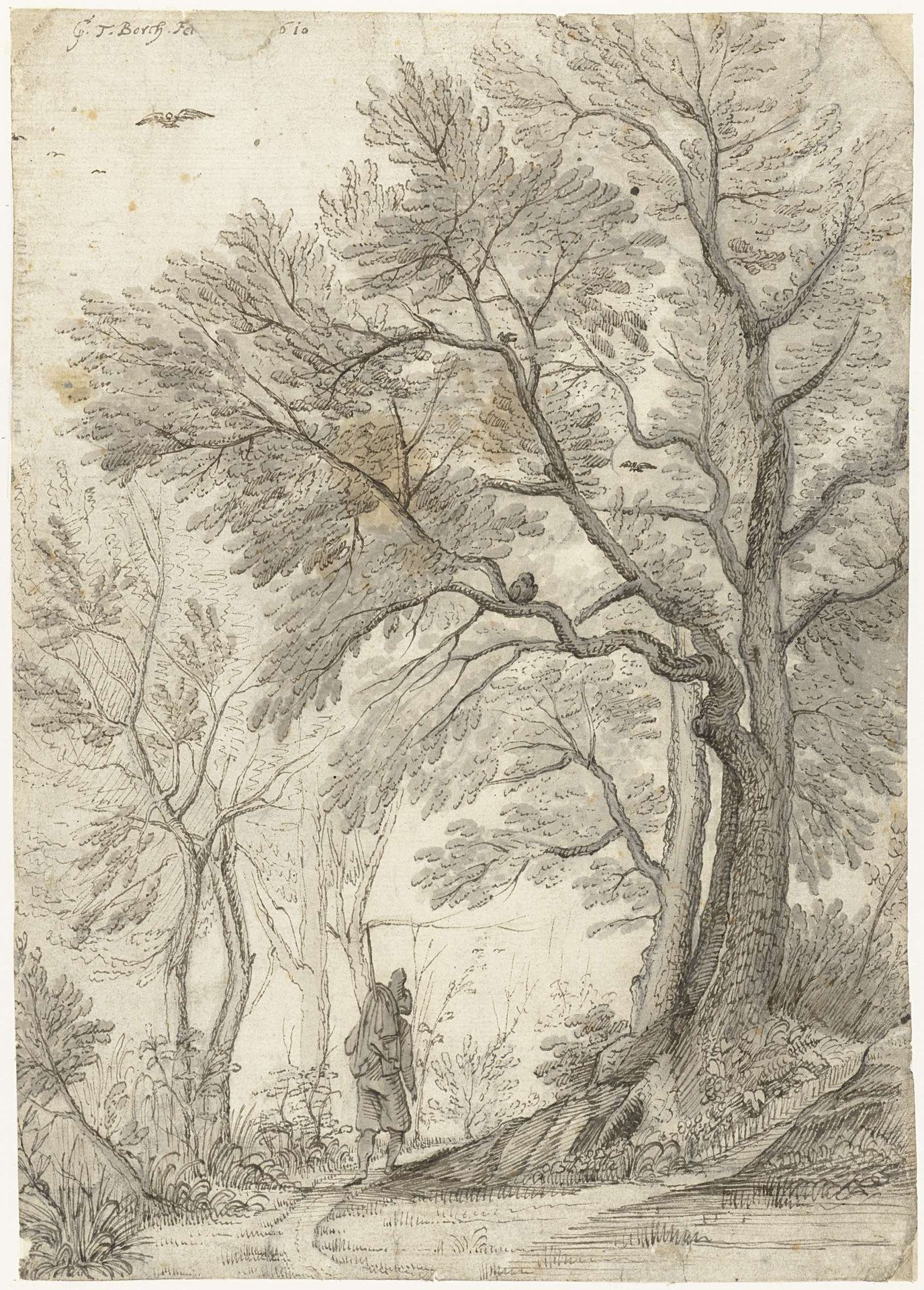 Bos van de Villa Madama buiten Rome by Gerard ter (I) Borch