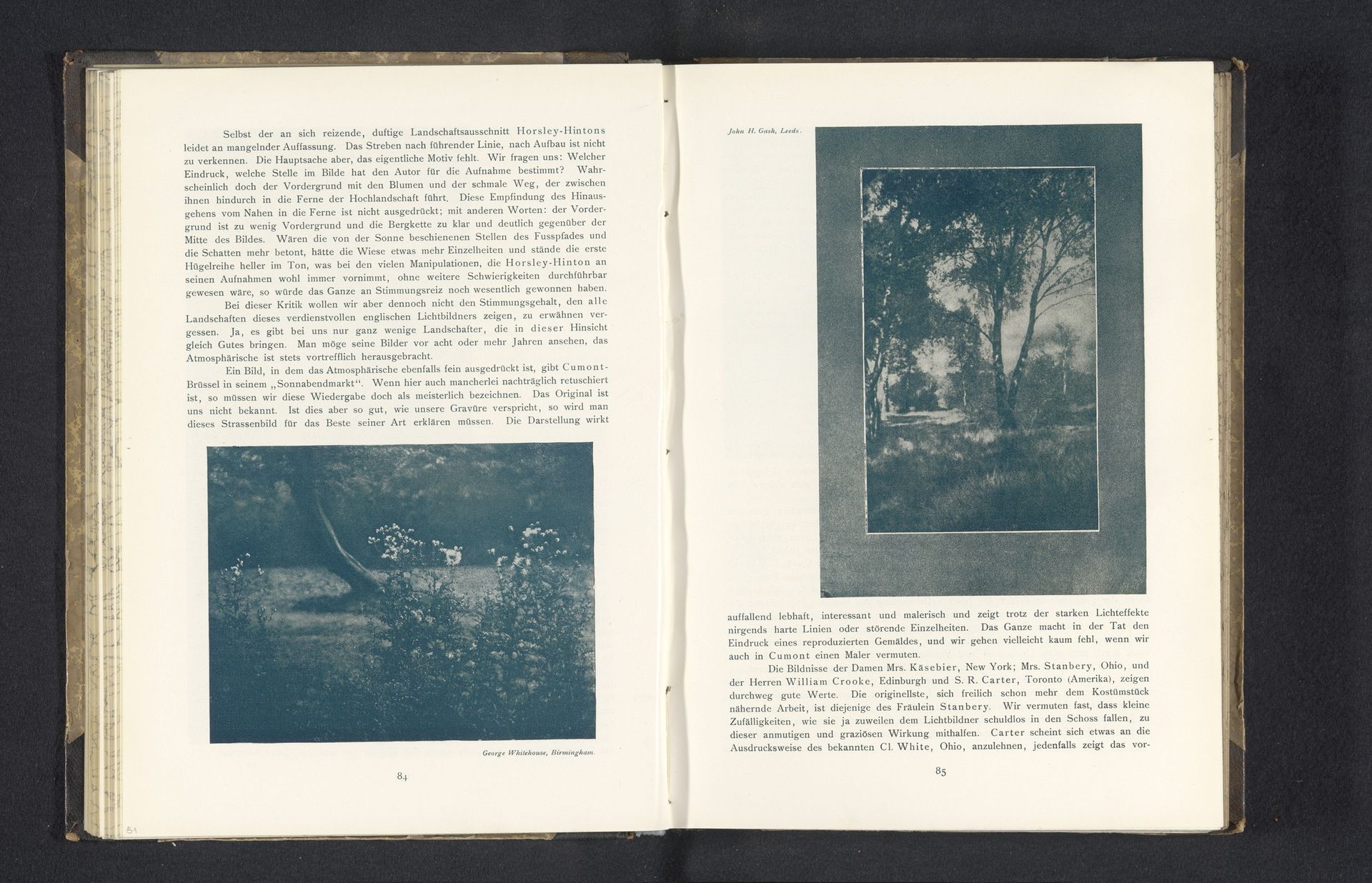 Bloeiende struik, met op de achtergrond een boom by George Whitehouse
