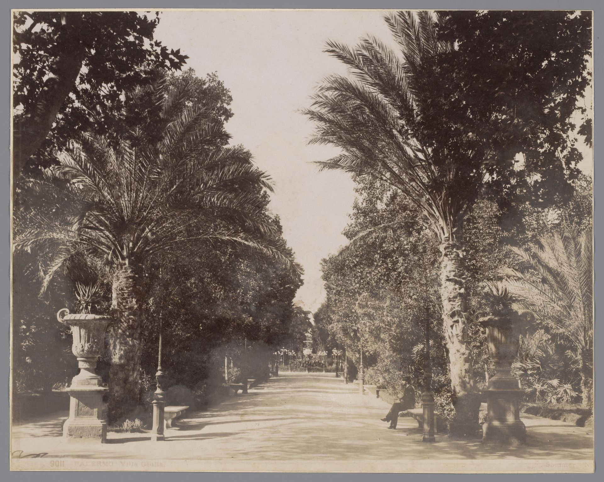 Laan met palmbomen in het park Villa Giulia te Palermo, Sicilië by Giorgio Sommer