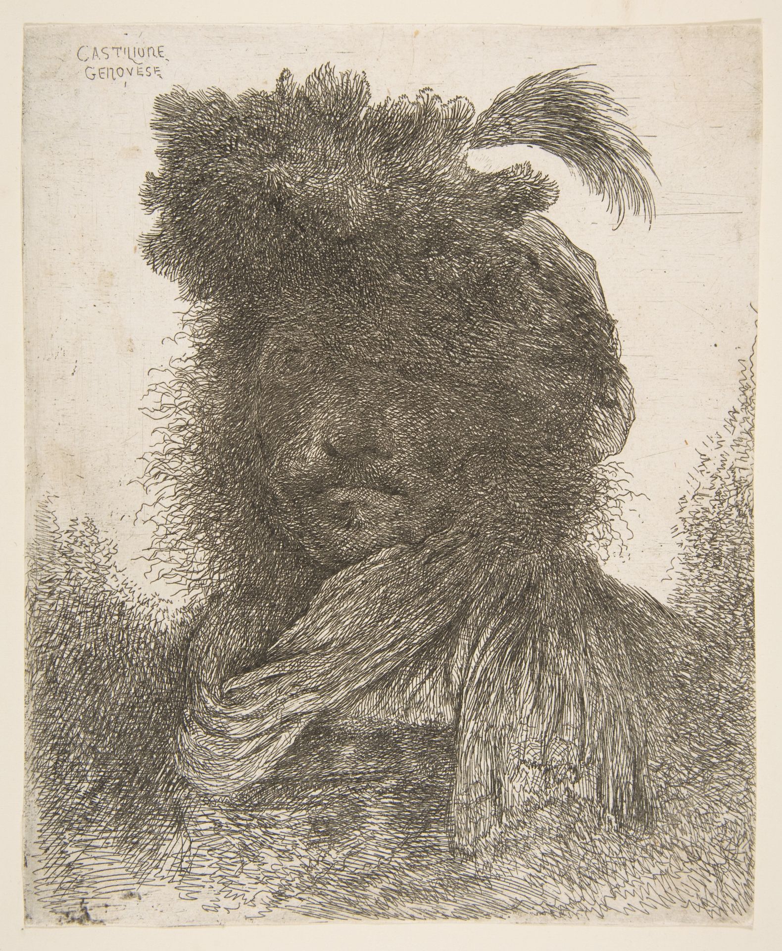 Head of a man in shadow turned slightly to the left,  from the series of 'Large Oriental Heads' by Giovanni Benedetto Castiglione (Il Grechetto)