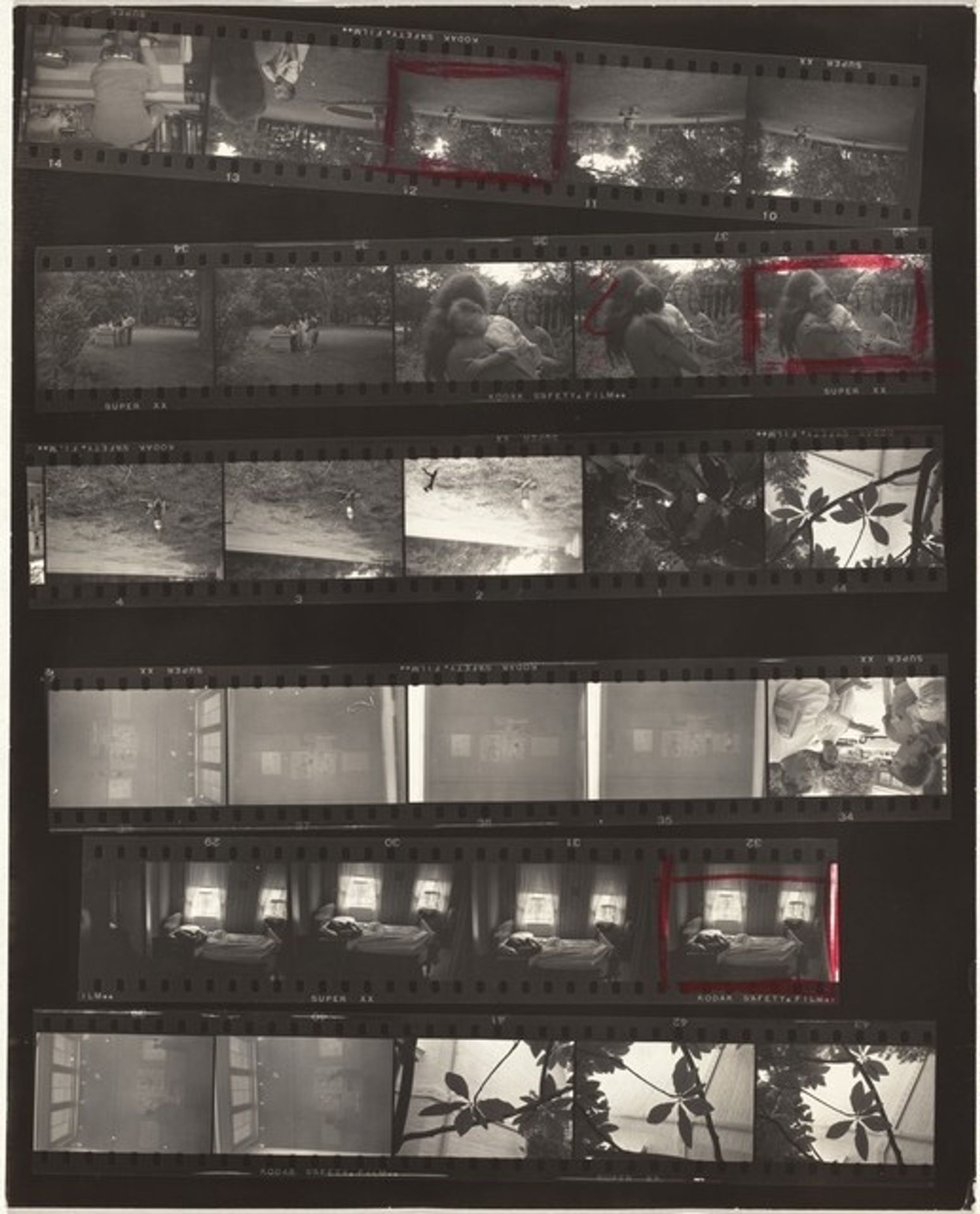 Family and Ben Schultz--Southampton no number by Robert Frank