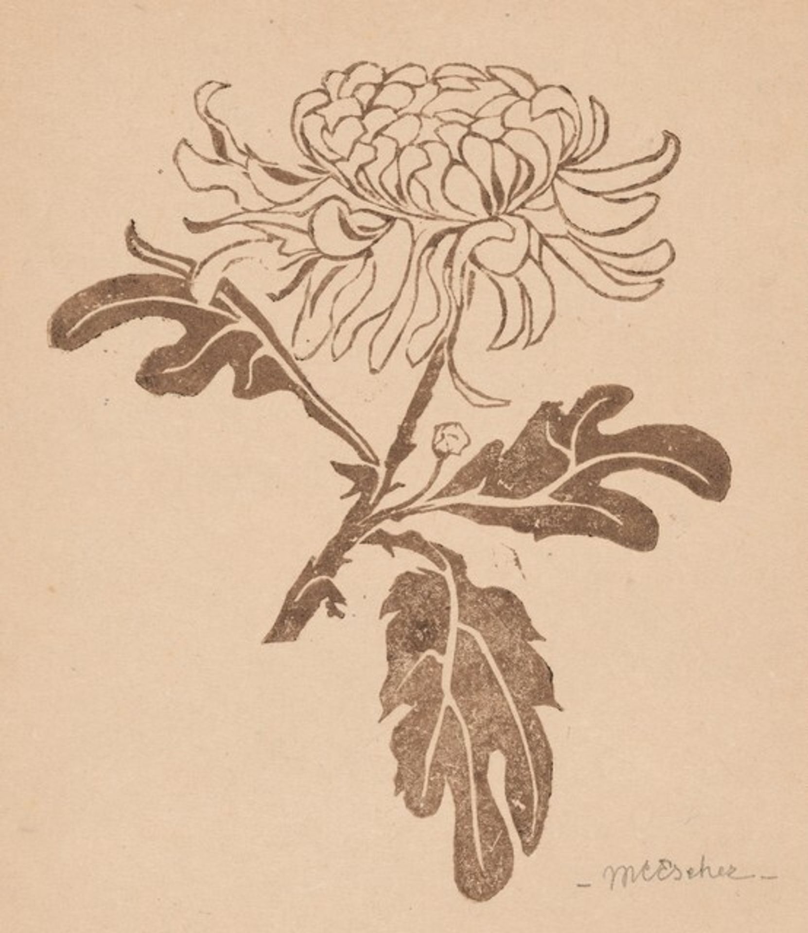 Chrysanthemum by M.C. Escher