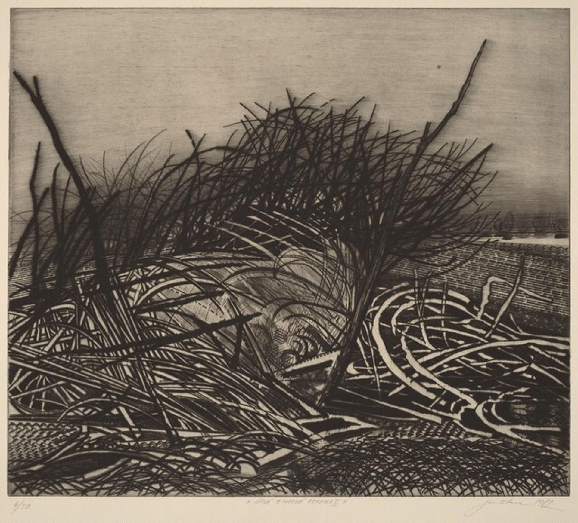 Zivá a mrtvá príroda (Living and Dead Nature) by Jan Otava