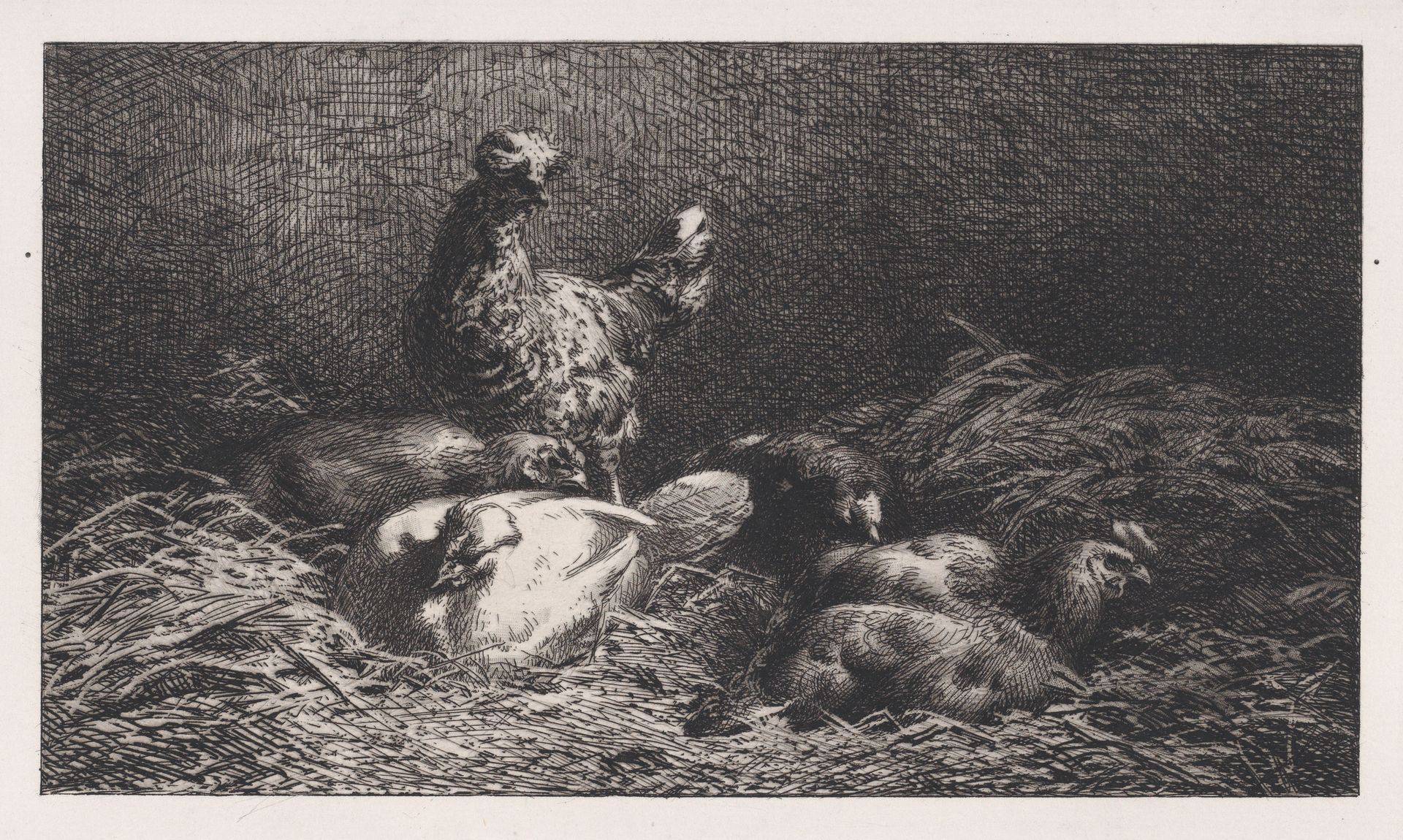 Poules by Charles Jacque