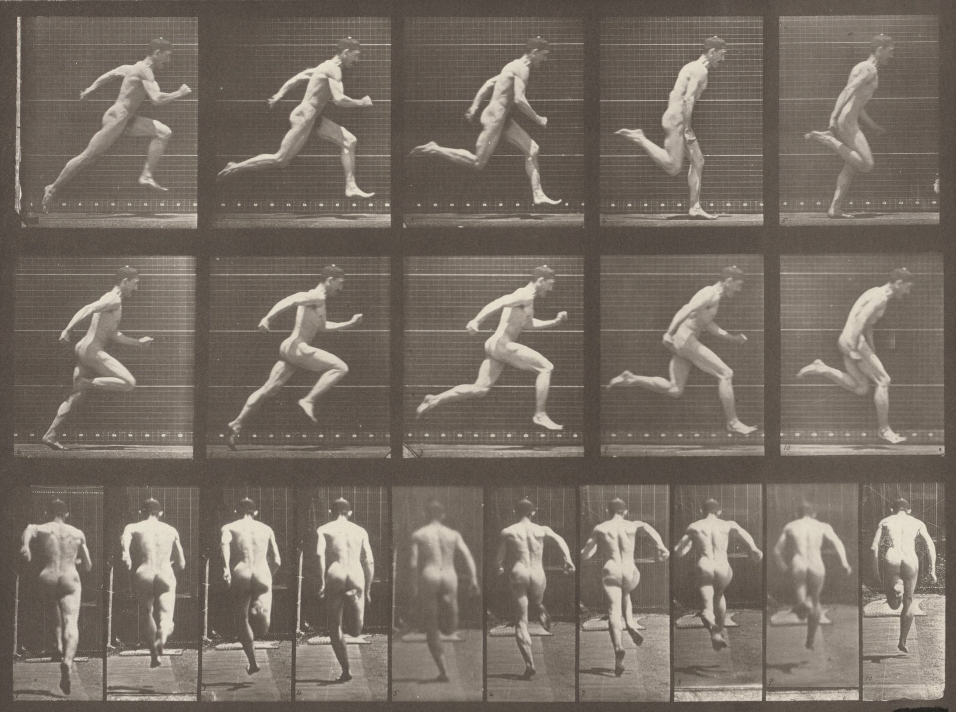 Plate Number 63. Running at full speed by Eadweard Muybridge